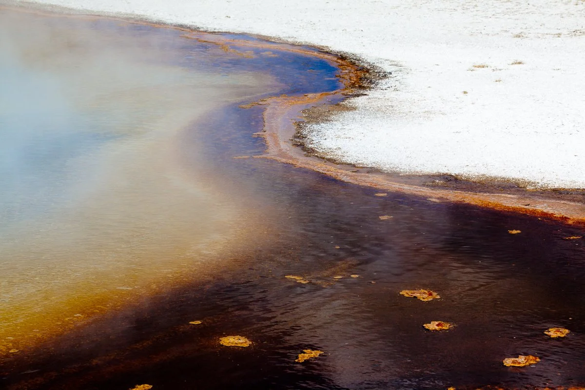 Bacterialscape-9.jpg