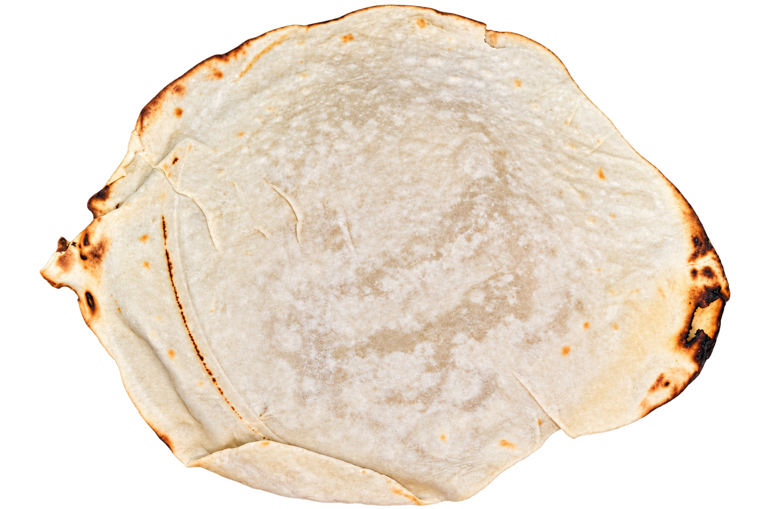 Close-up of a used, partially burnt flour tortilla with some charring on the edges.