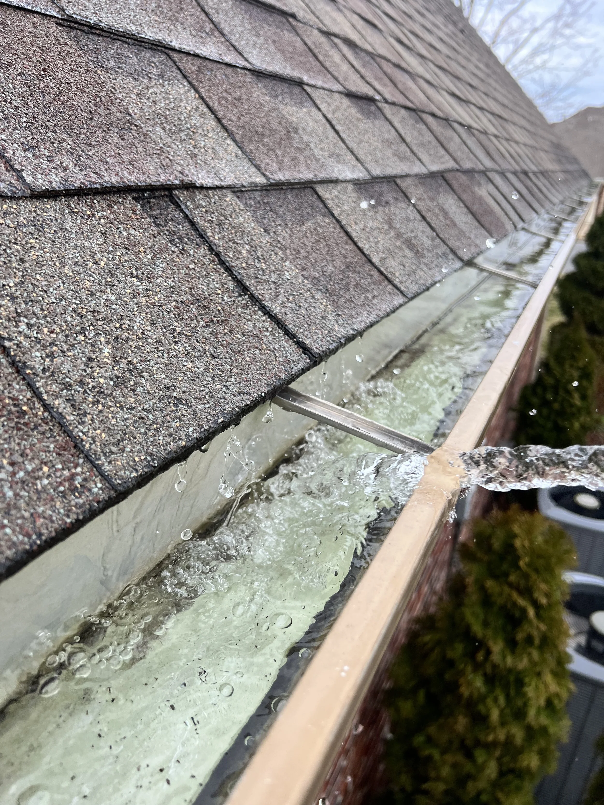 Close-up view of a shingled roof with water dripping from the gutter below, and some greenery on the side.