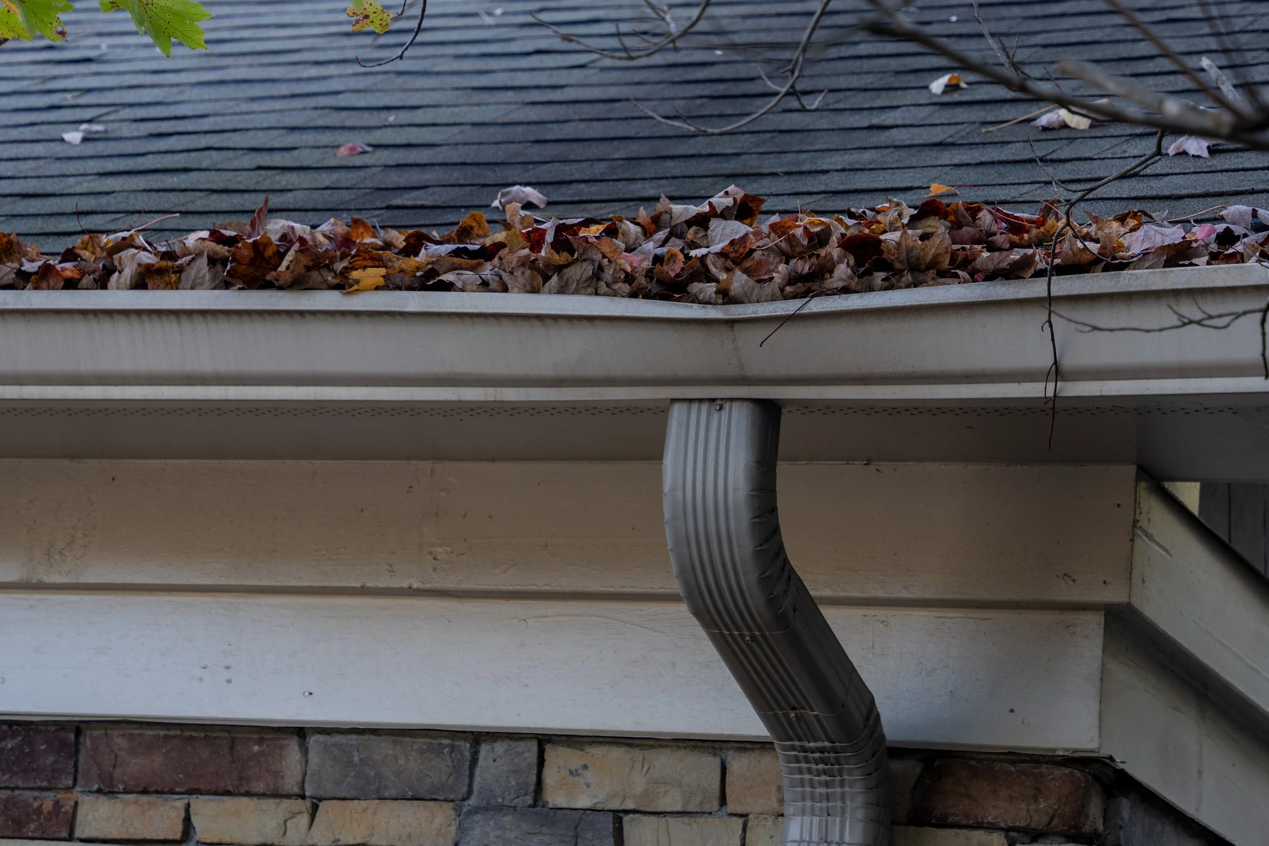 A house gutter filled with fallen leaves on a roof eaves, with a black downspout attached below. The house wall is made of brick and siding.