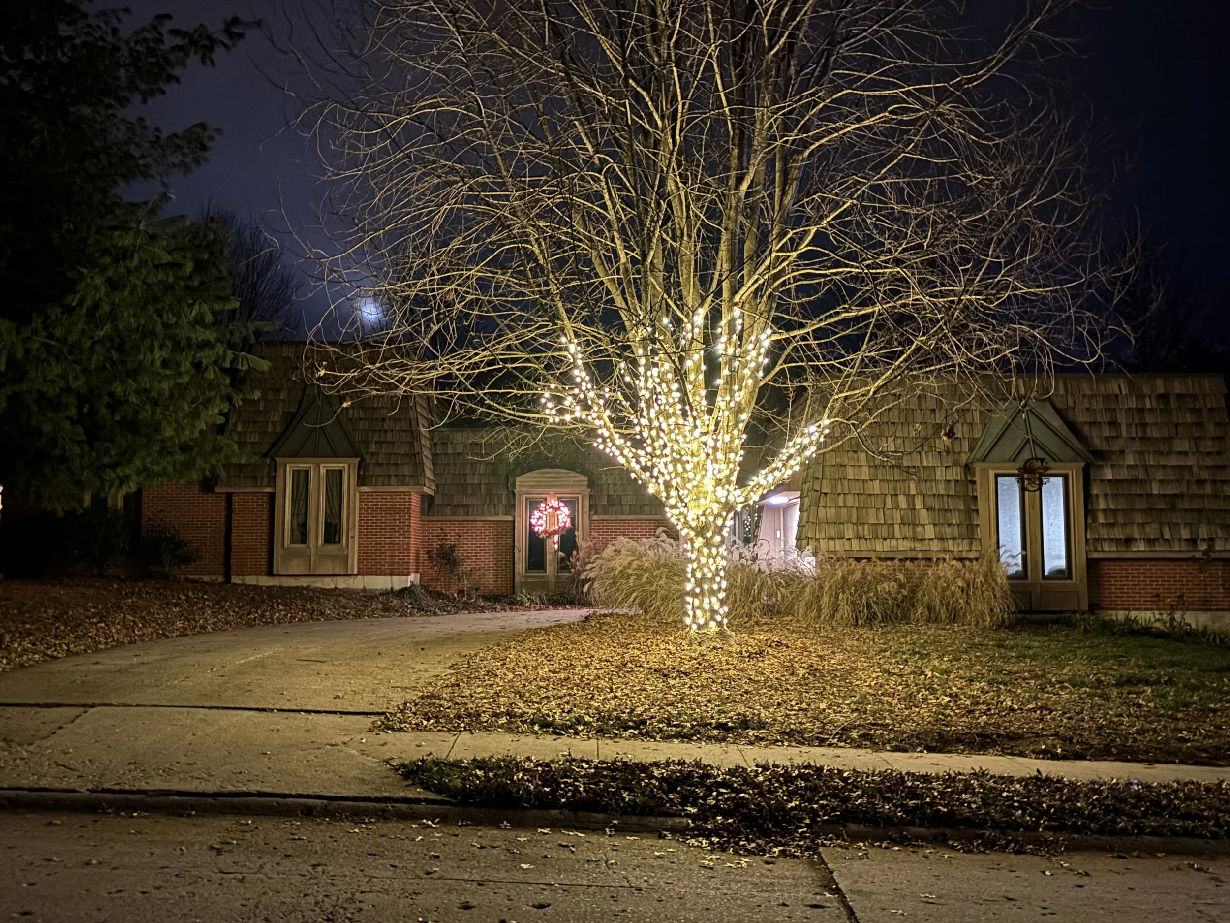 A decorated house at night with a large tree wrapped in string lights in the front yard. The house has a brick facade, shingled roof, and a holiday wreath in the window. The scene is illuminated by the tree lights, with fallen leaves on the ground.