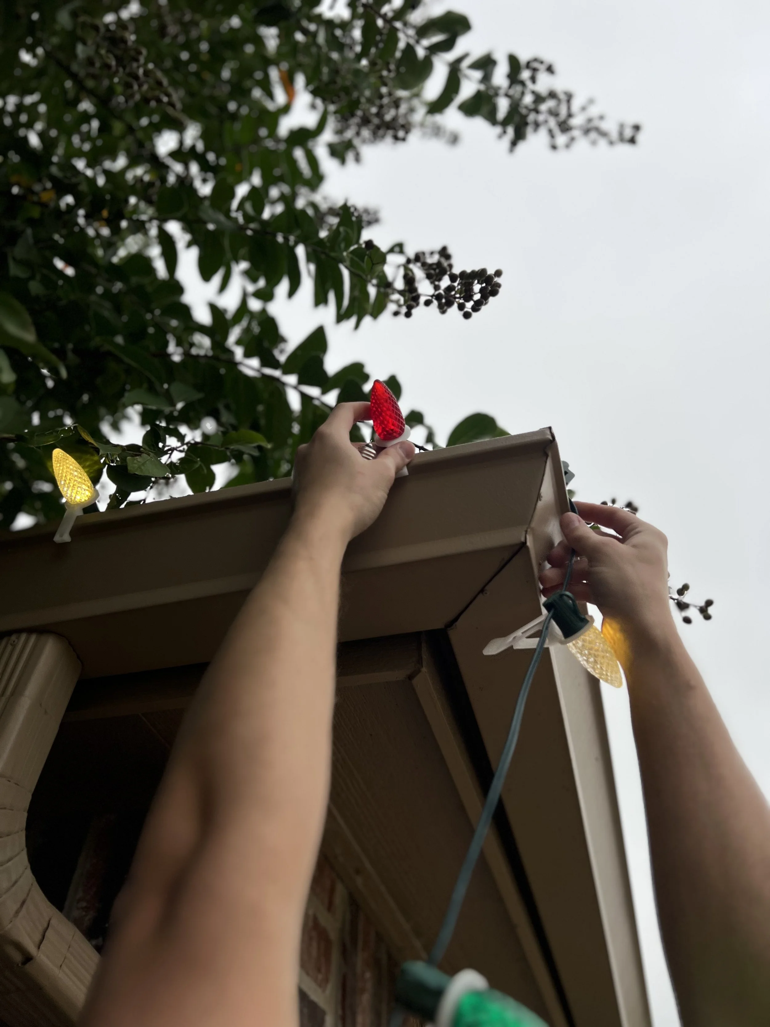 Person hanging Christmas lights on a house, with a hand holding a red light bulb-shaped string light and a green light bulb-shaped string light, against a background of tree branches and an overcast sky.
