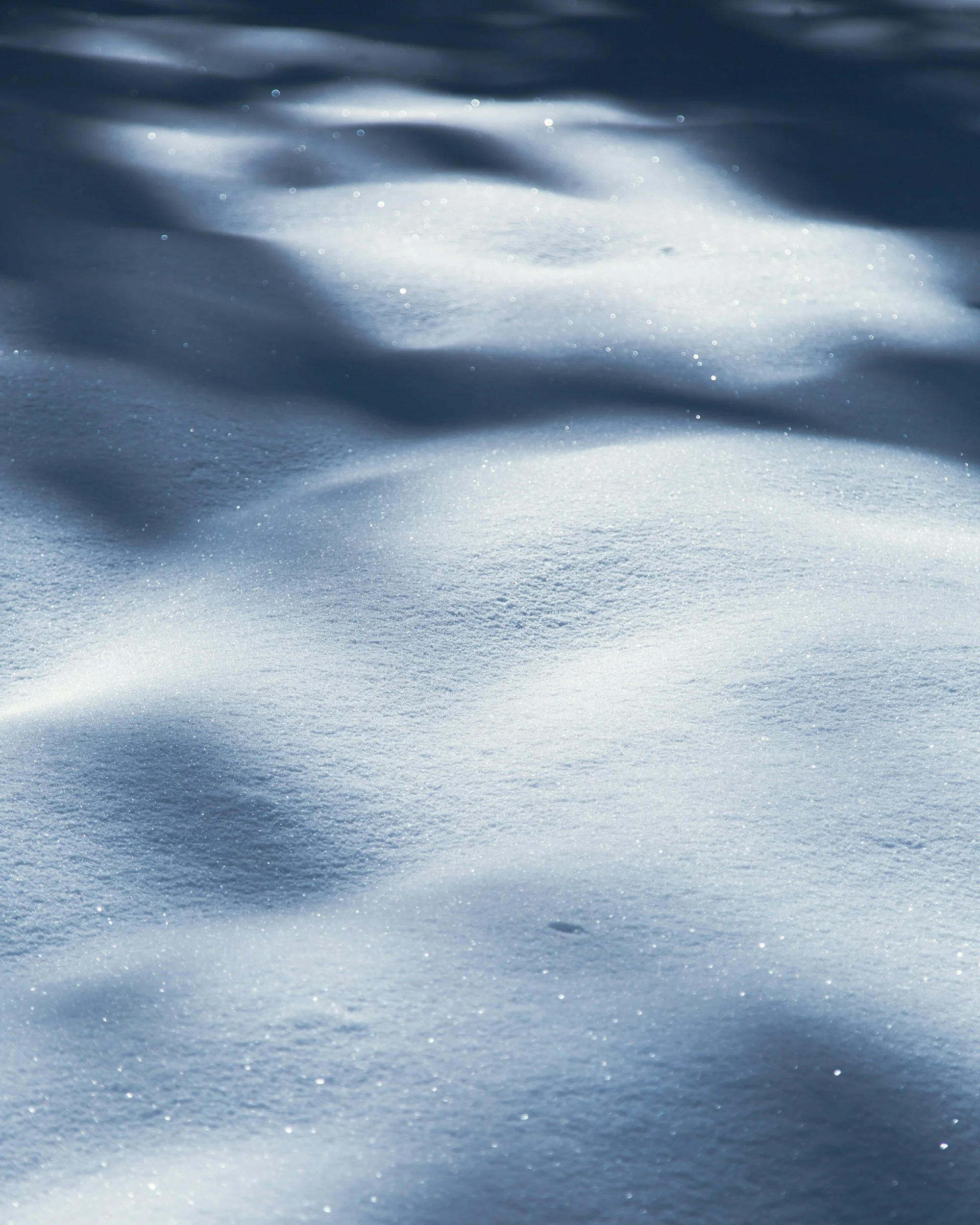 Snow-covered landscape with glistening snow reflecting sunlight.