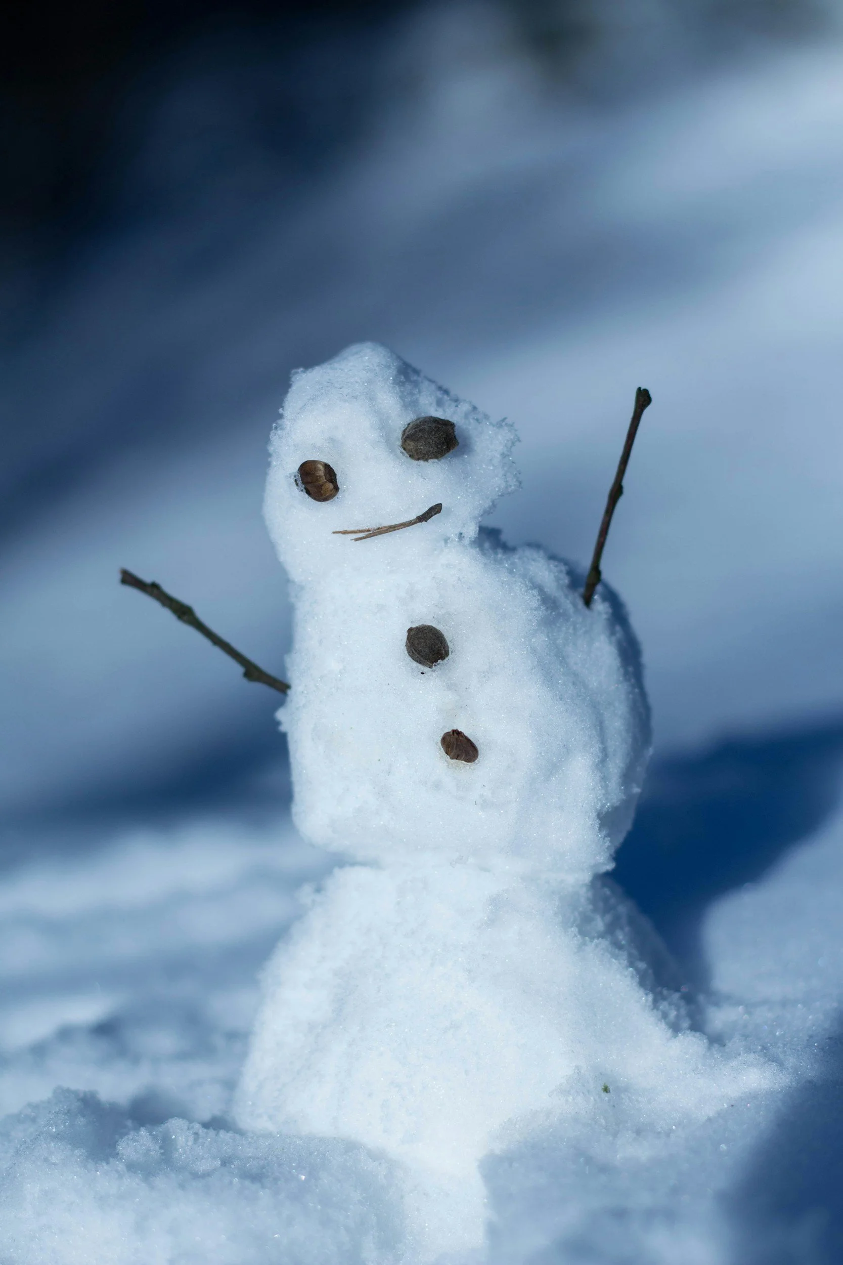 Small snowman with a round body made of snow, decorated with small stones for eyes and buttons, a stick arm, and a small twig nose, standing on snow with a blurred blue and snowy background.