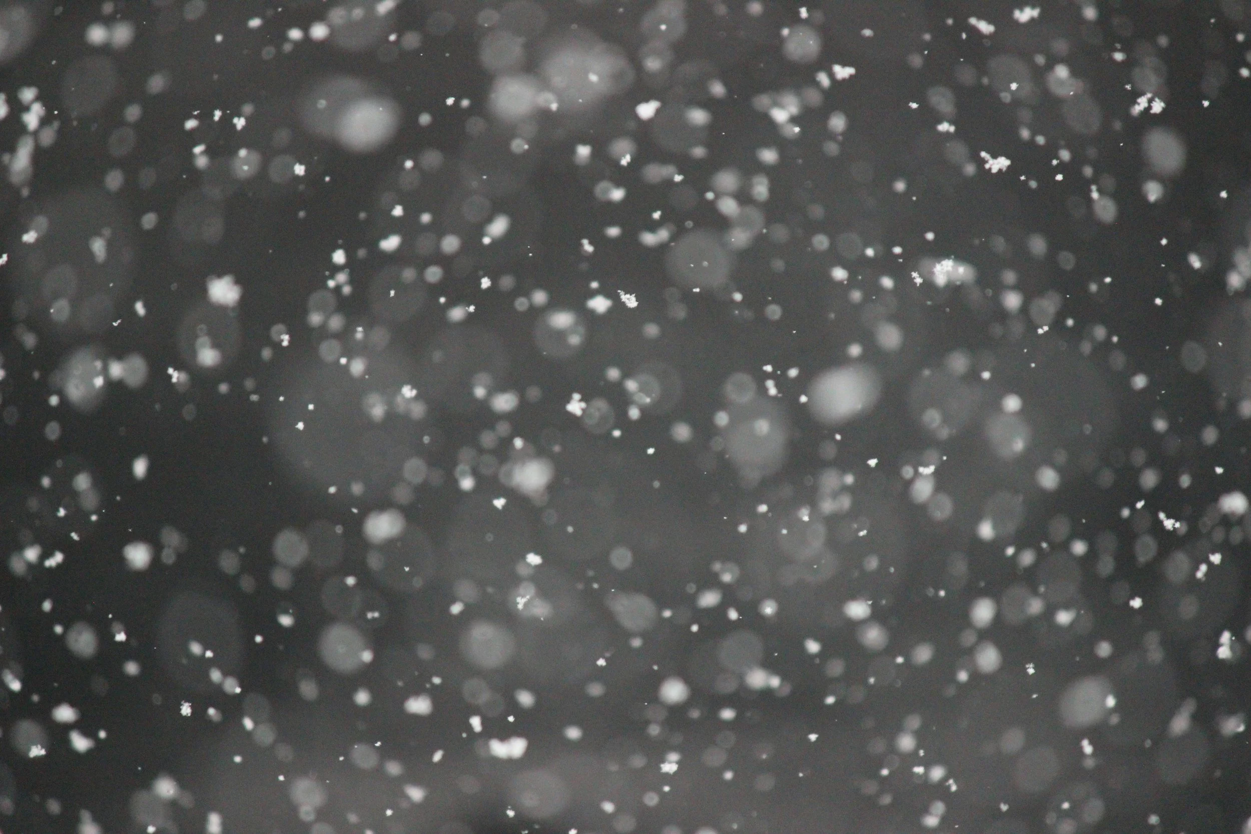 Close-up of falling snowflakes against a dark background.