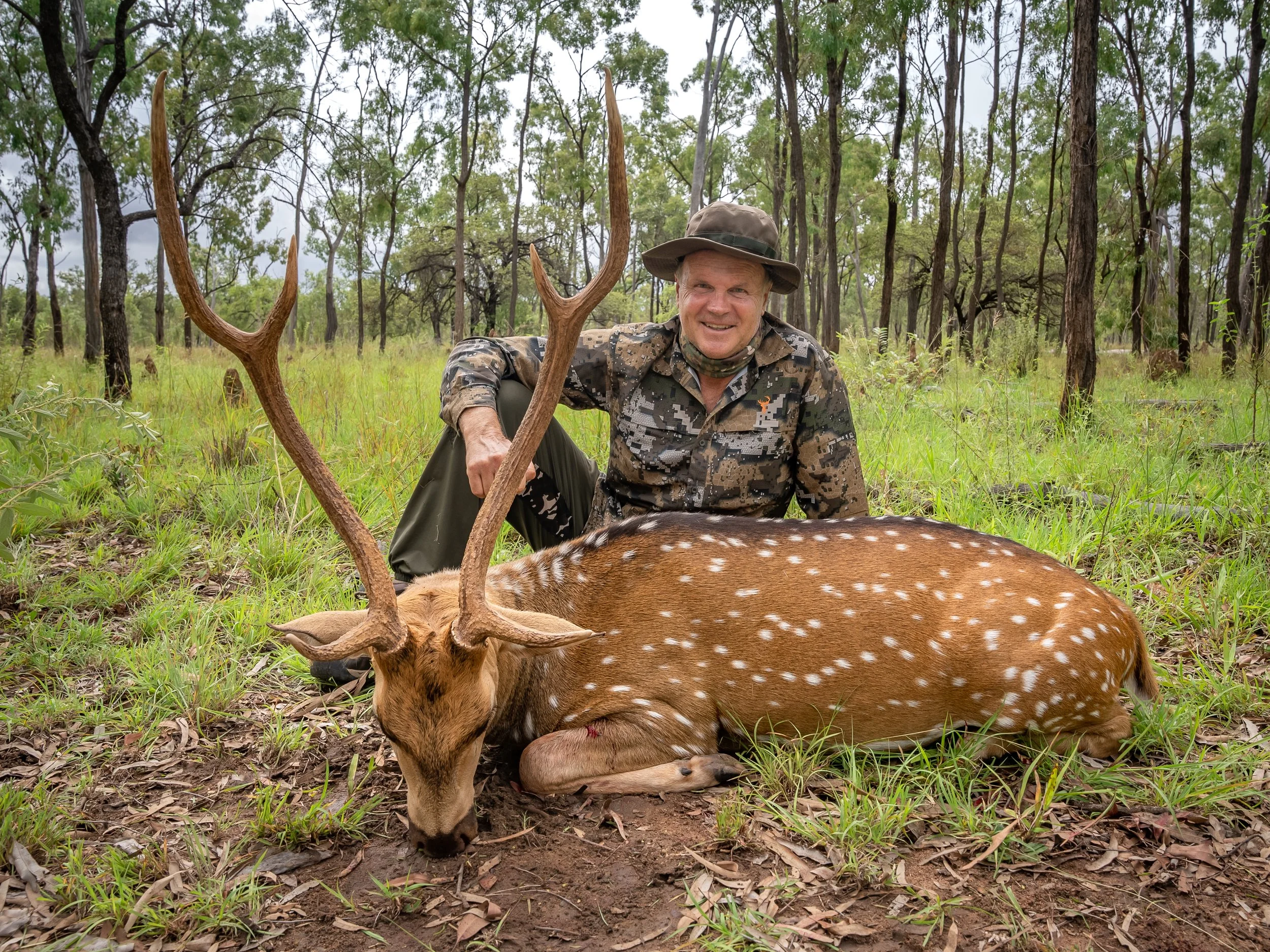 A man dressed in camouflage clothing and a wide-brimmed hat kneeling next to a sleeping spotted deer in a forest clearing, with green trees and grass in the background.