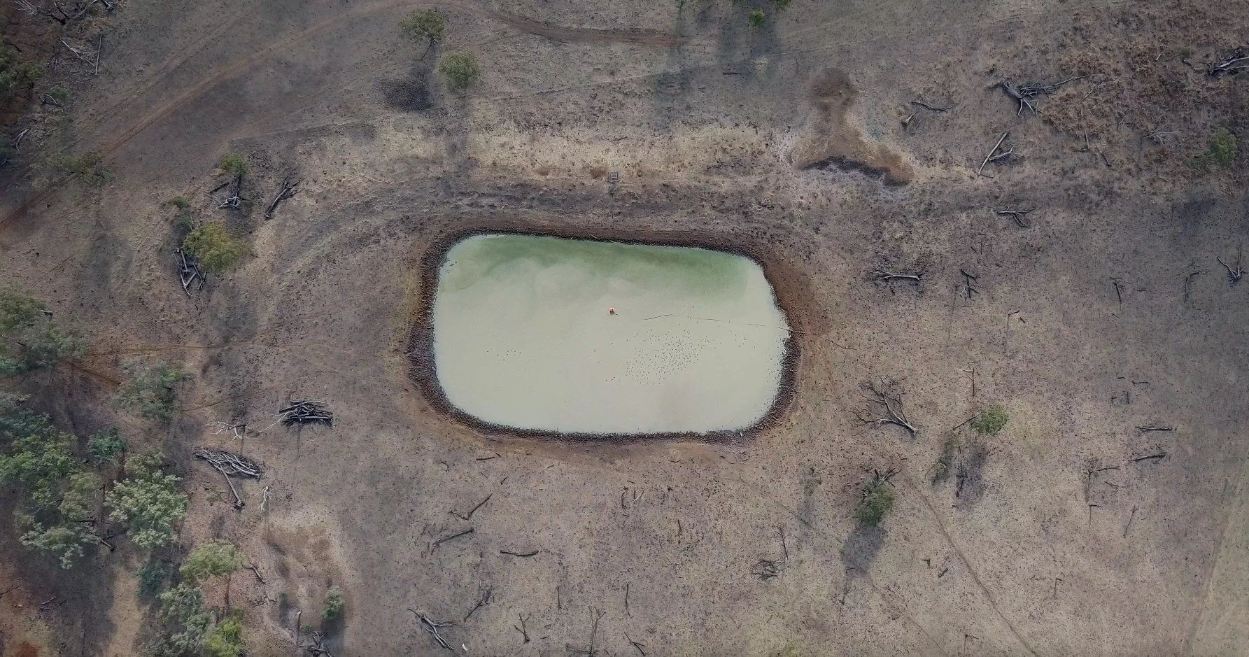 Aerial view of a small, rectangular, pale-green pond in a barren, dry landscape with scattered dead trees and sparse vegetation.