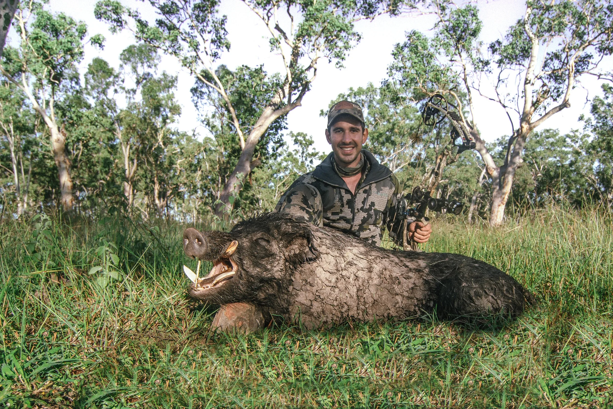 A man dressed in camouflage clothing holding a bow kneels next to a large dead boar in a forested area with tall grass and trees.