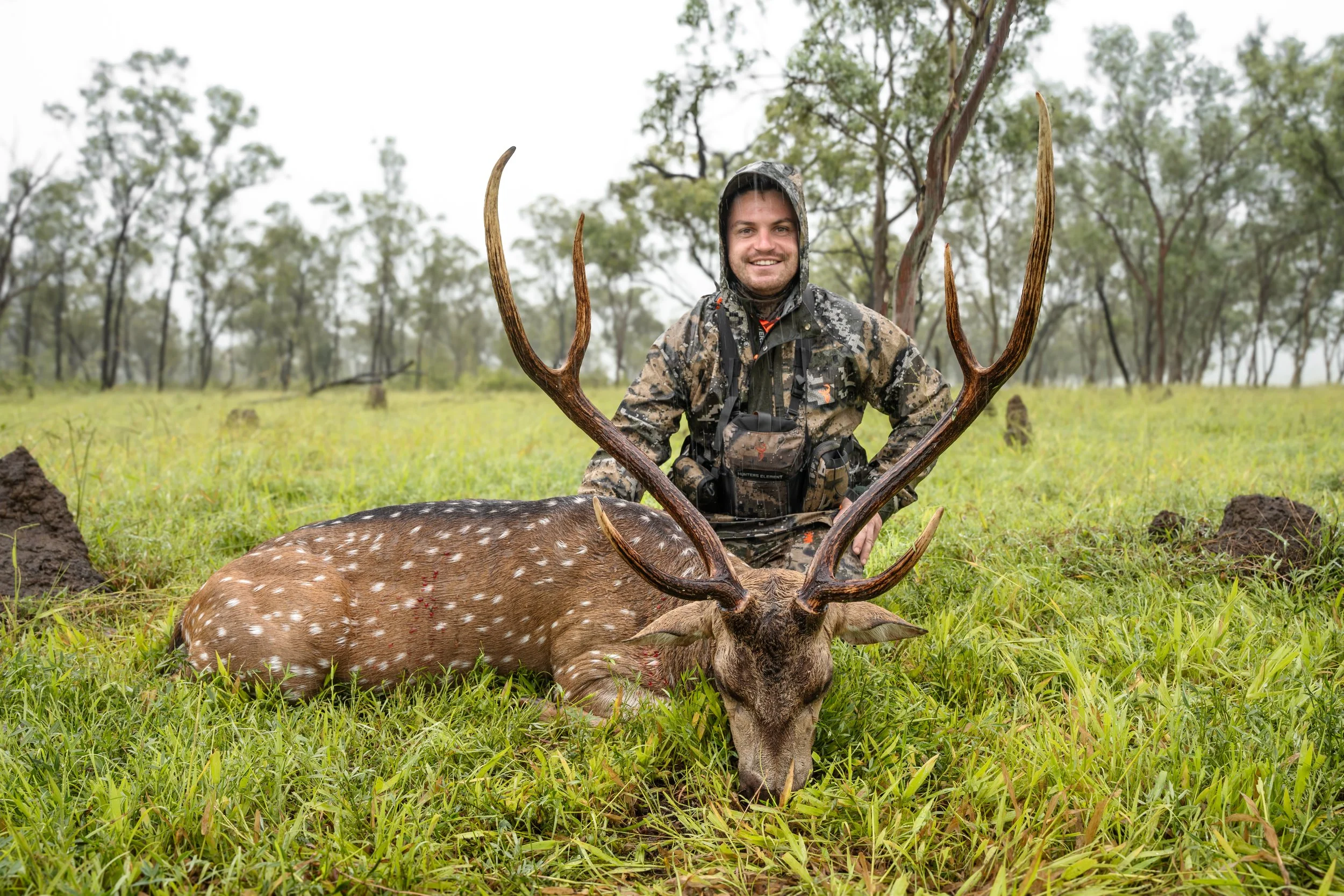 A hunter kneeling in a forest in rainy weather, smiling, with a hunted deer lying in front of him. The deer has antlers and is lying on green grass.