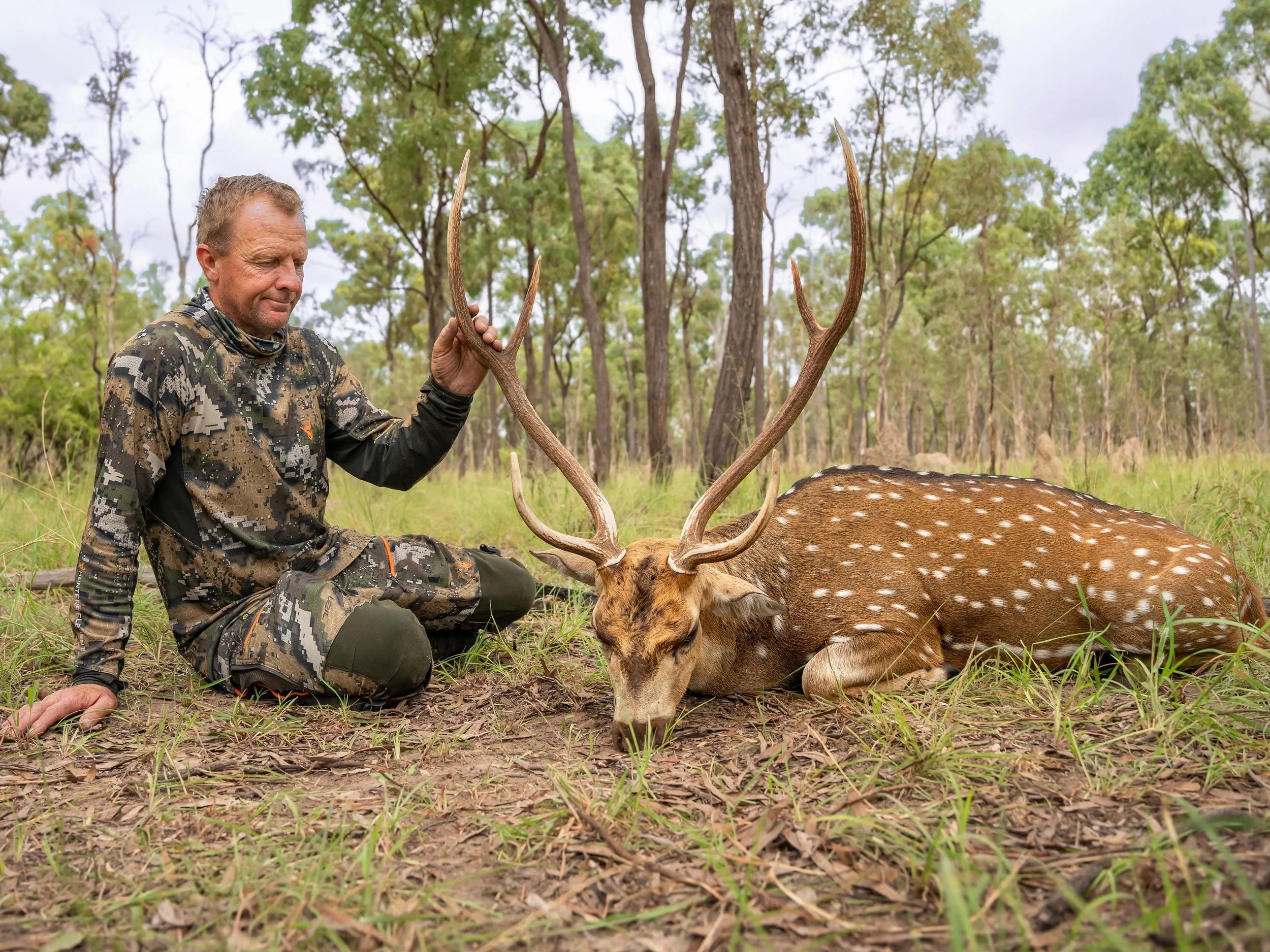 A man in camouflage clothing kneels on the ground next to a spotted deer with large antlers, in a forest with green trees.