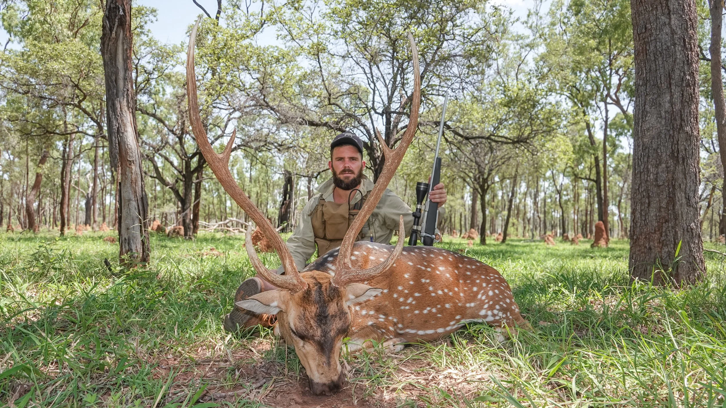 A man with a beard and cap sitting on grass in a wooded area, holding a rifle, and posing behind a large dead spotted deer with antlers, laying on the grass.