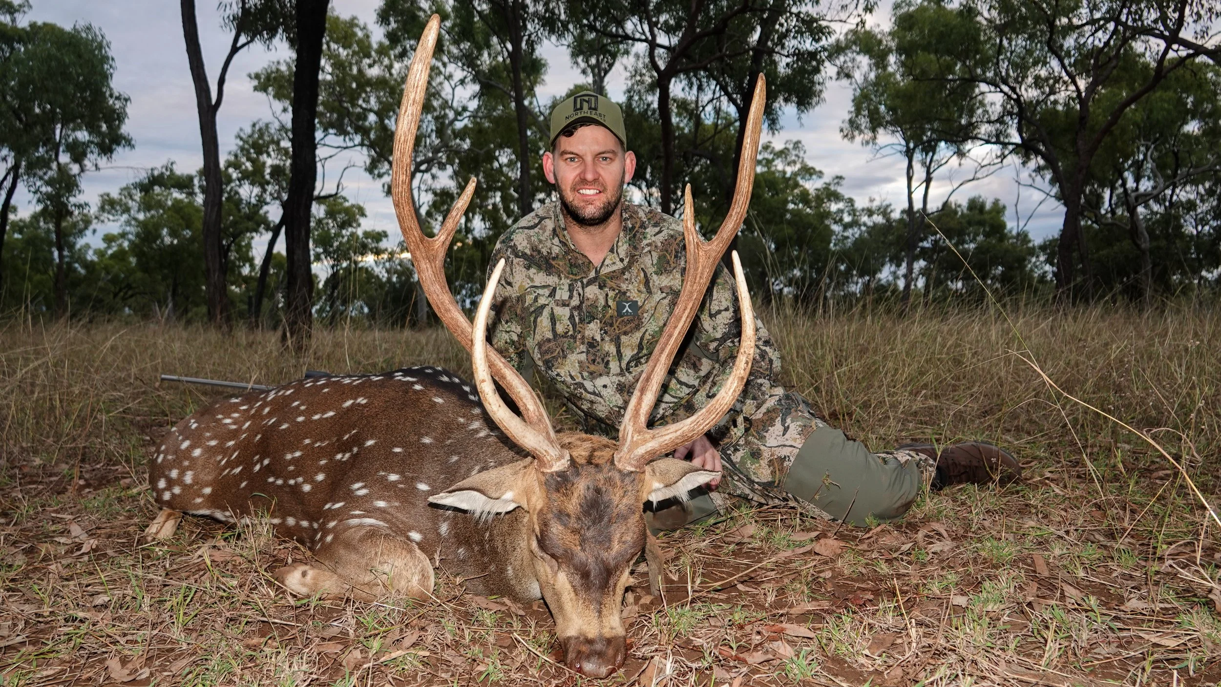A man in camouflage clothing sitting on the ground in a forest, holding a large deer with antlers that has been hunted.