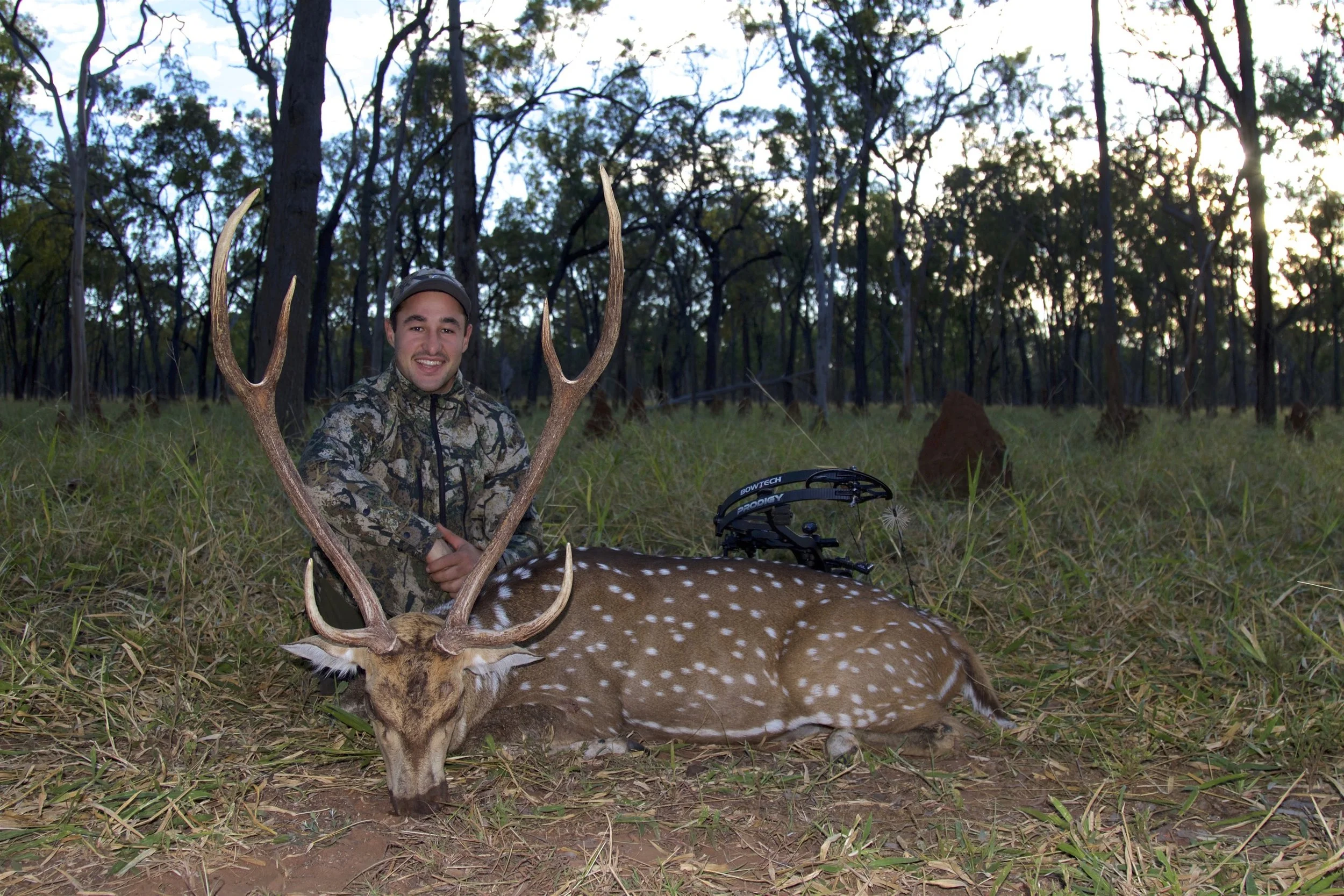 A man in camouflage clothing kneels in a forest at dusk, holding the antlers of a freshly hunted spotted deer laid on the ground. A bow and arrow are placed nearby on the grass.
