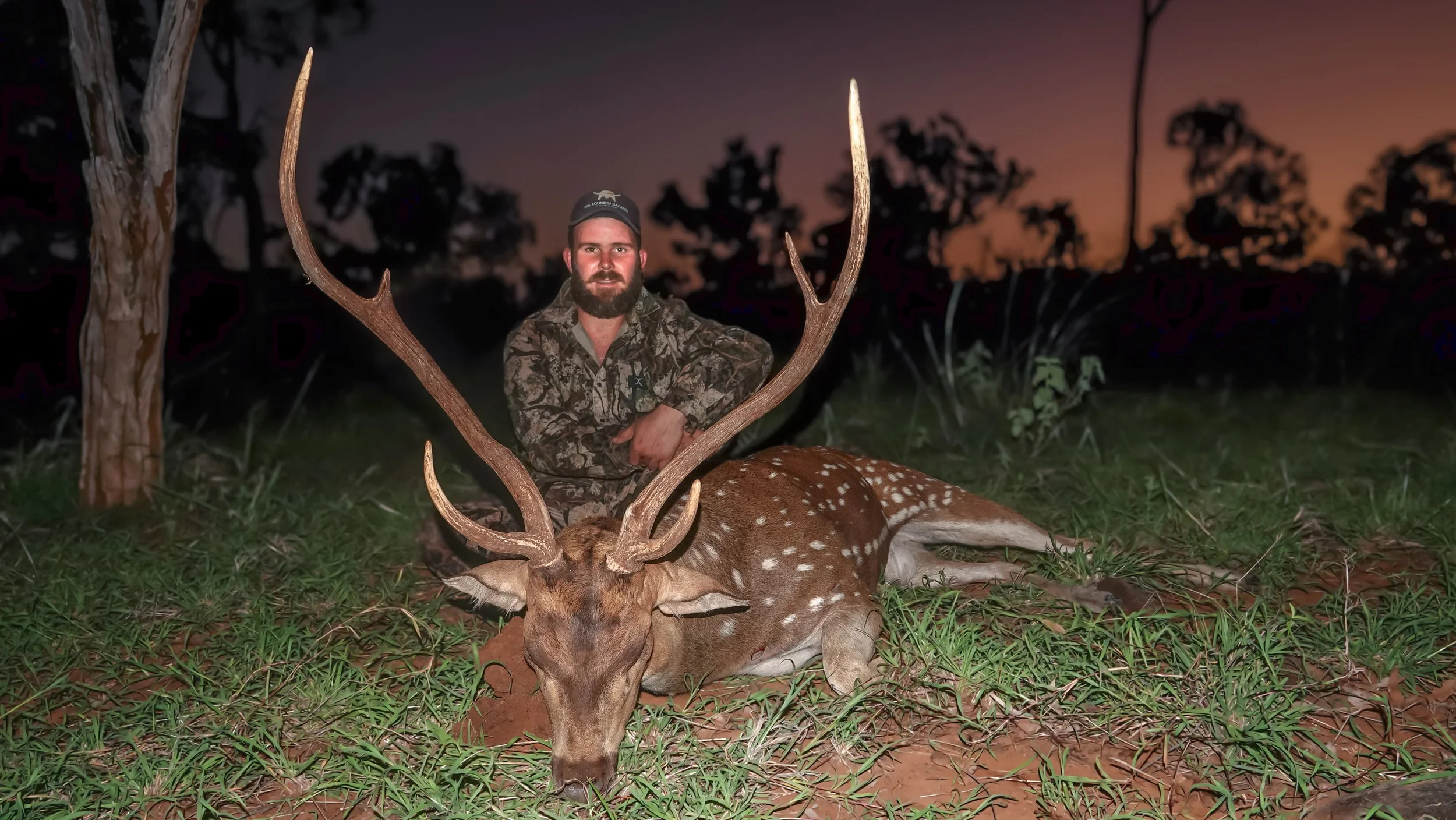 A man with a beard in camouflage clothing and a cap sitting behind a large antlered deer that has been hunted, at sunset or dusk outdoors.