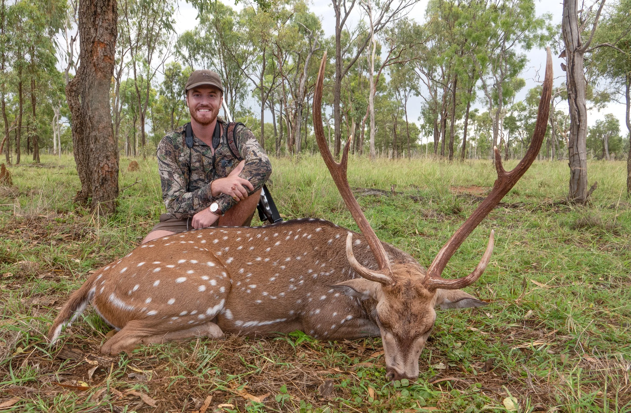 A man smiling in camouflage clothing and a cap kneeling next to a large dead deer with antlers in a forested area.