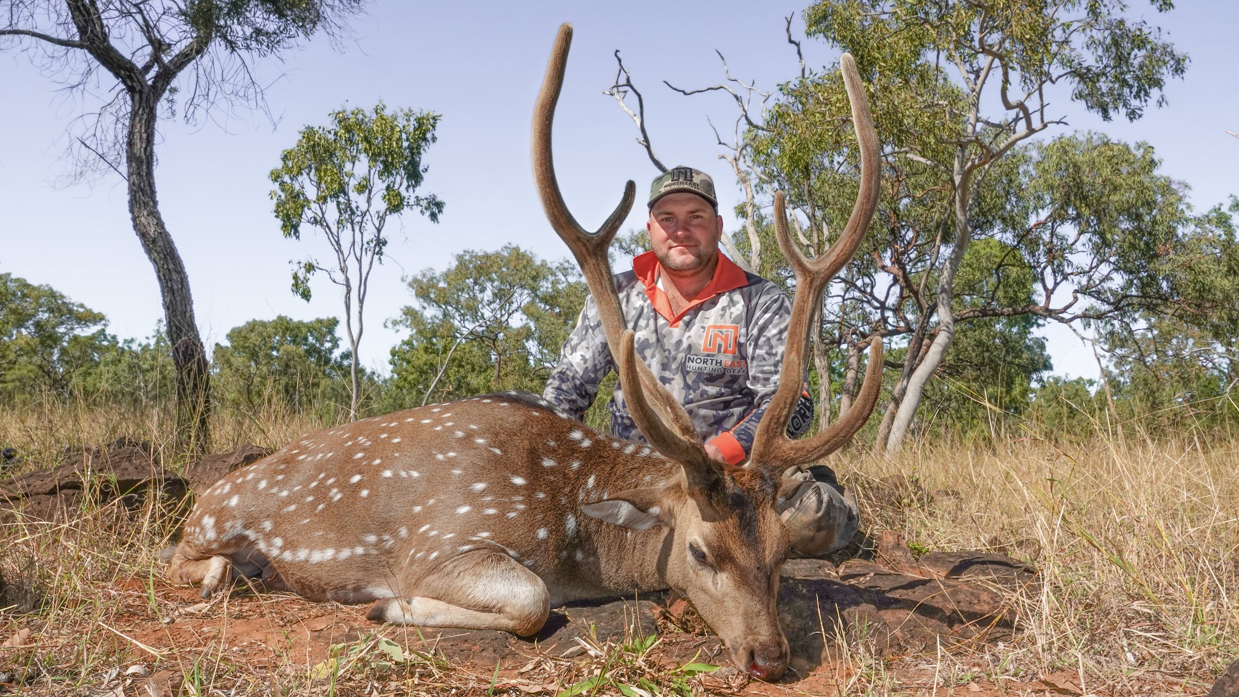 A man in hunting gear sitting next to a killed spotted deer in a forested area.