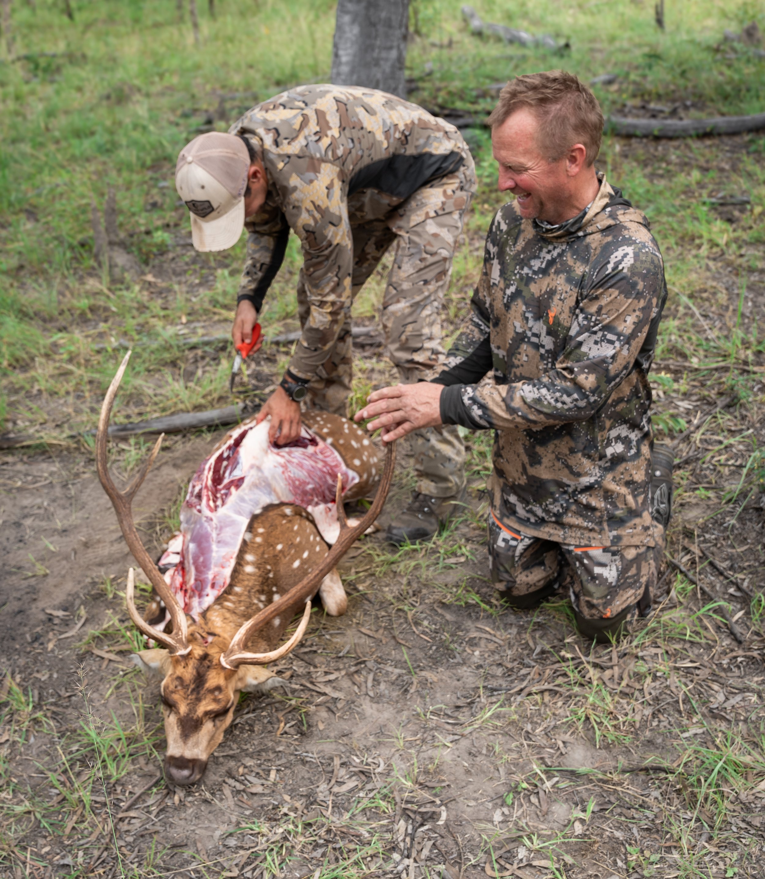 A person in camouflage clothing kneeling and laughing next to the carcass of a deer on the ground in a forested area.