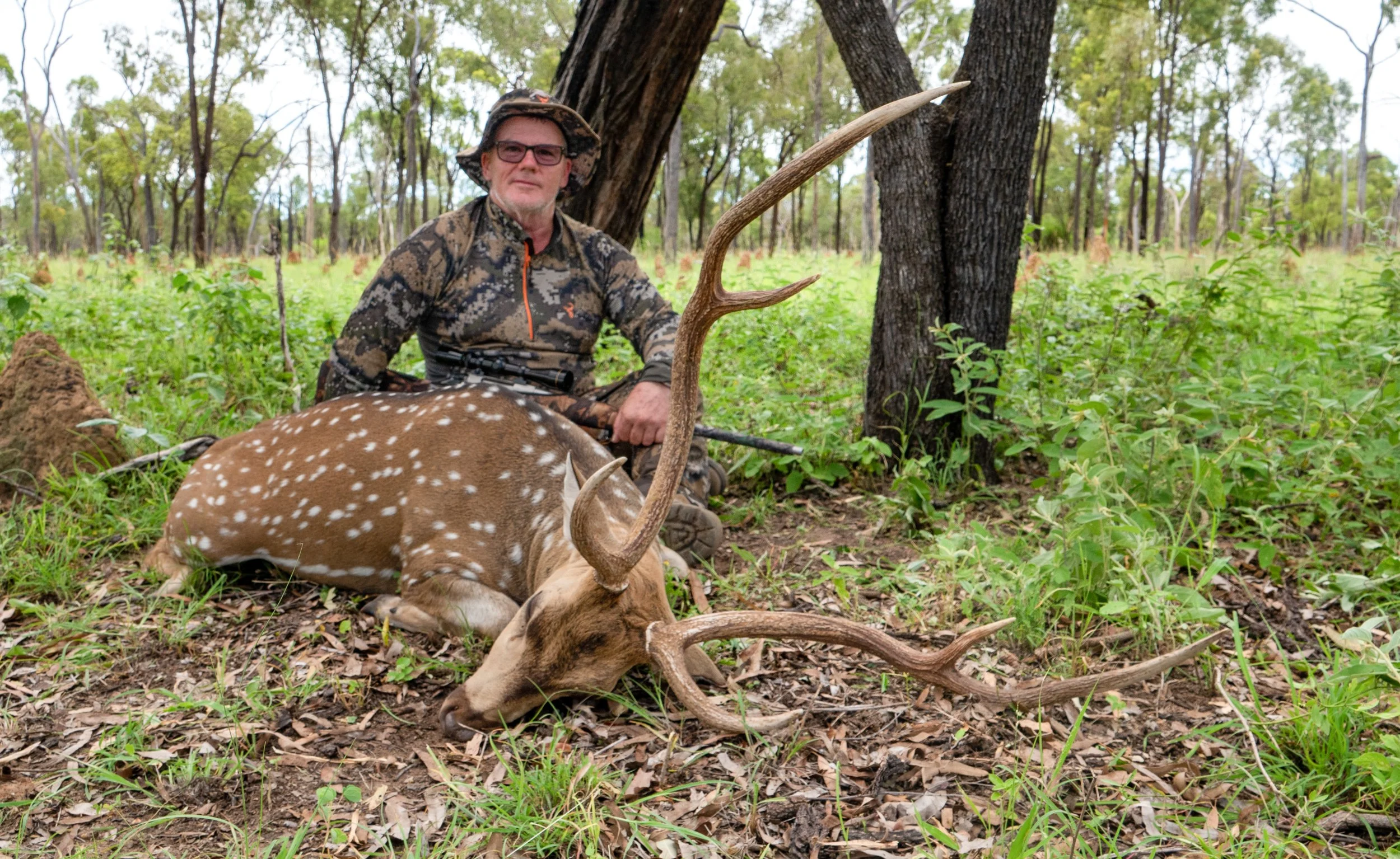 A man dressed in camouflage clothing and a wide-brimmed hat is kneeling in a forest next to a dead deer with large antlers, lying on the ground amidst green foliage and trees.