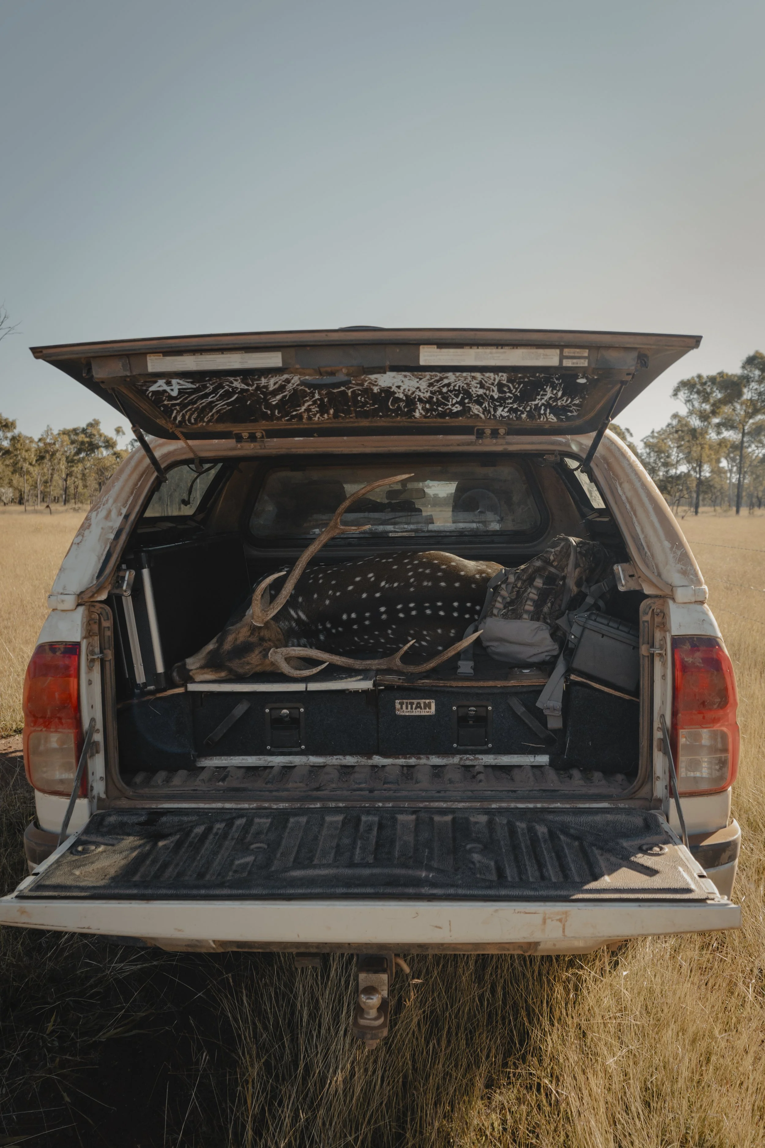 Open truck bed with deer antlers, a black and white spotted fawn, a backpack, and a storage container in a field with trees under a clear sky.