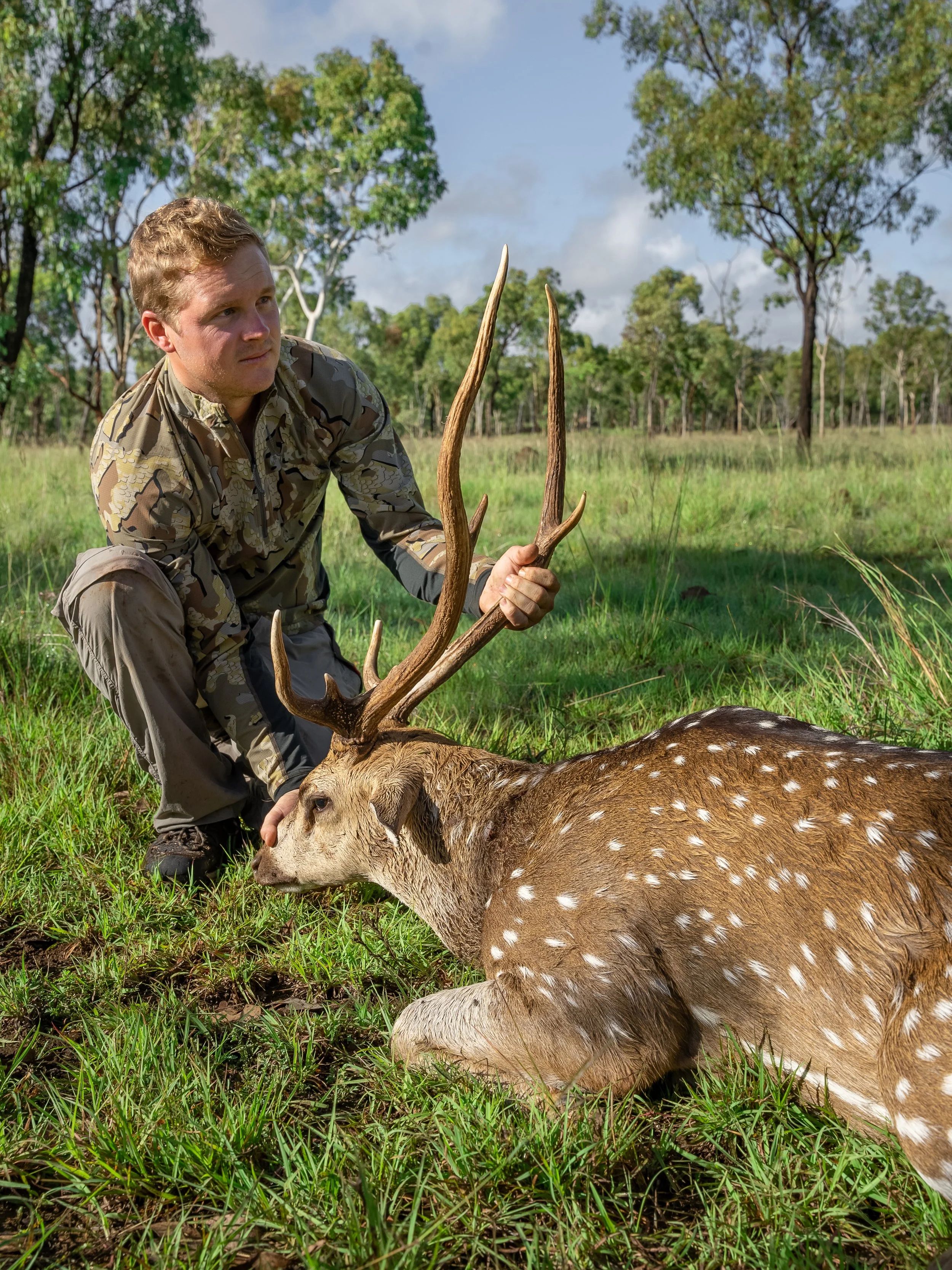 A man in camouflage clothing kneeling beside a fallen spotted deer with large antlers in a grassy field with trees in the background.