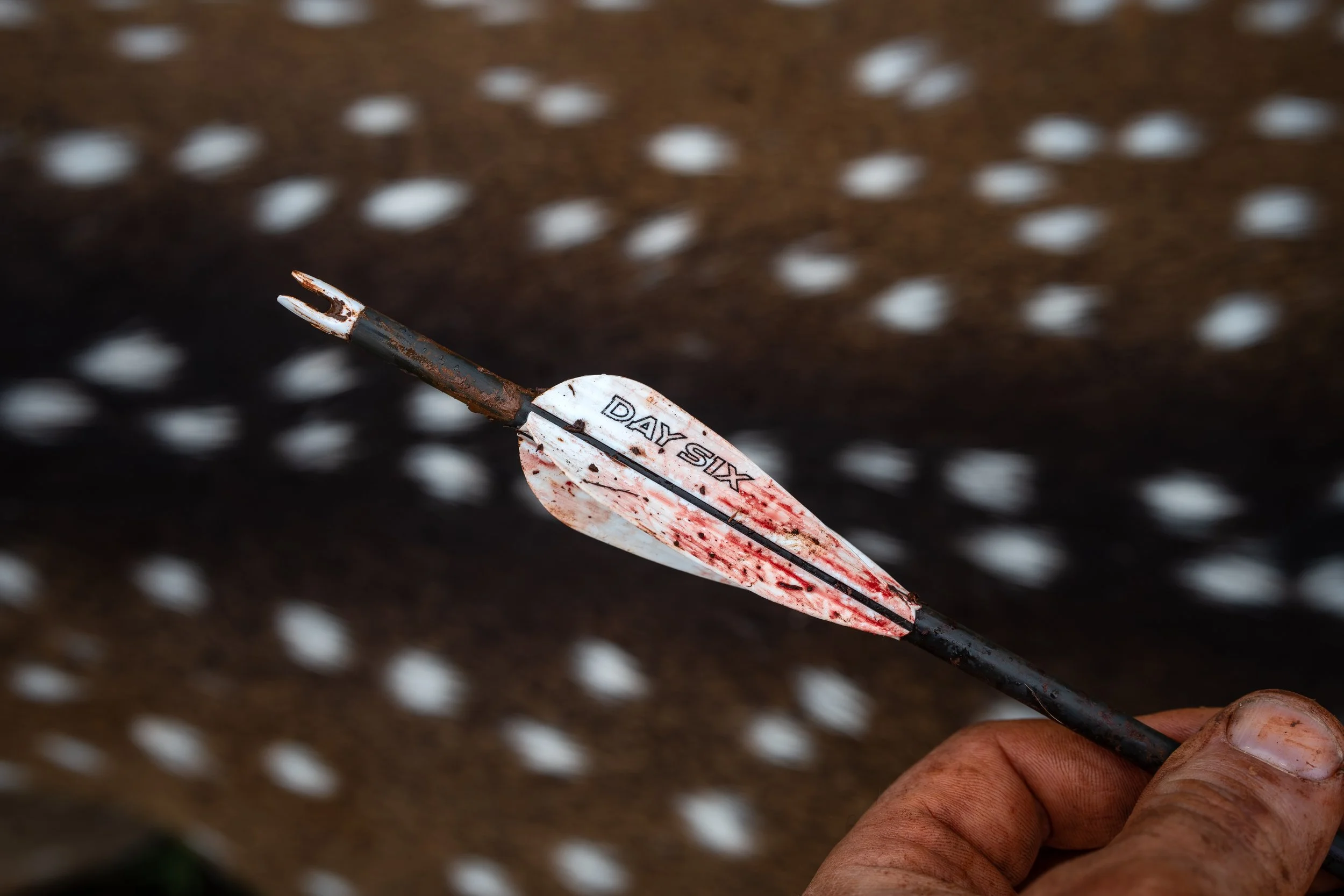 A close-up of a hand holding a rusty and blood-stained dart with the words 'DAY SIX' written on it. The background shows a blurred pattern of white dots on a dark surface.