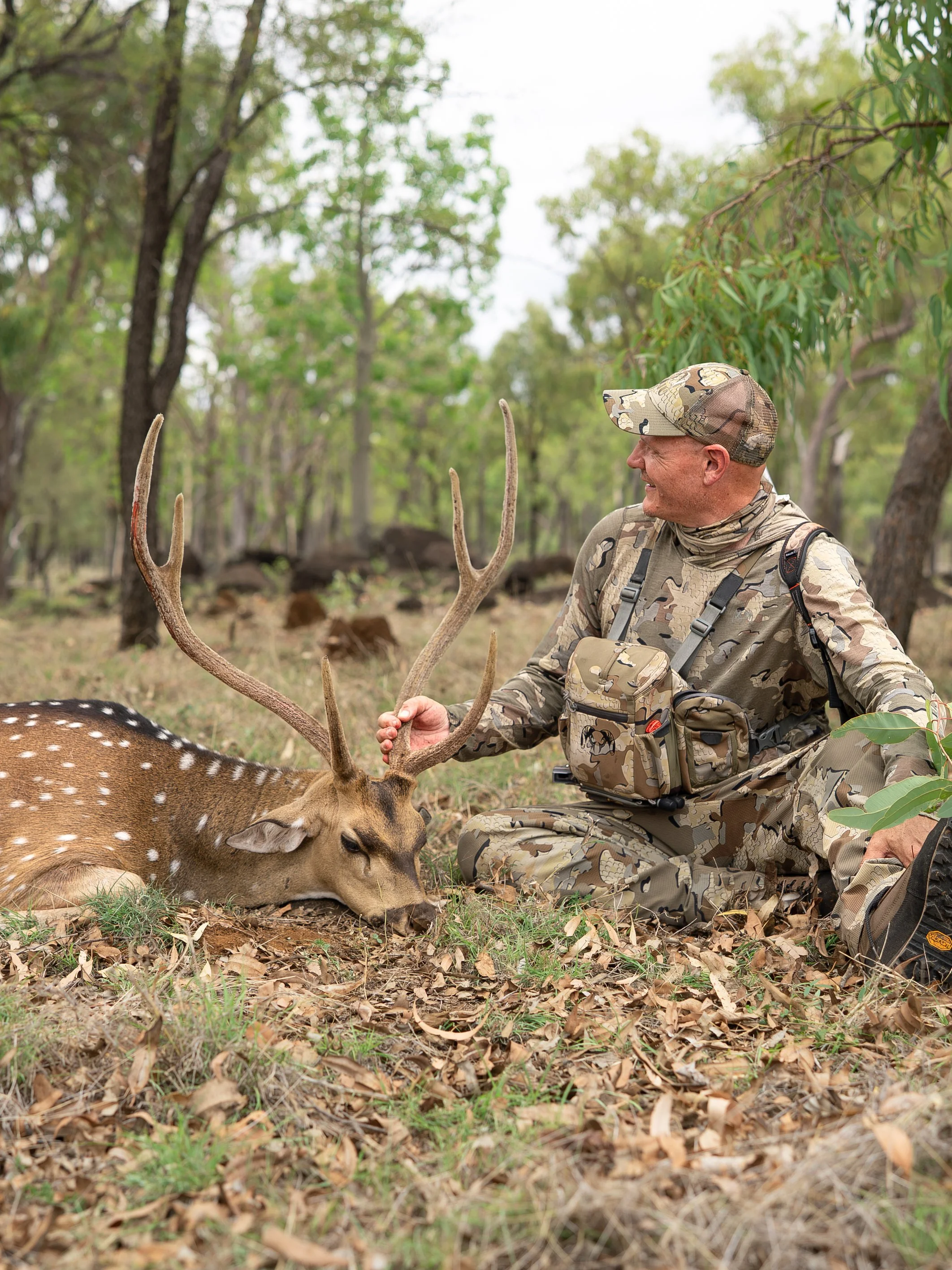 A man dressed in camouflage hunting gear is sitting on the ground next to a sleeping deer with antlers, in a forested area with trees and green leaves.