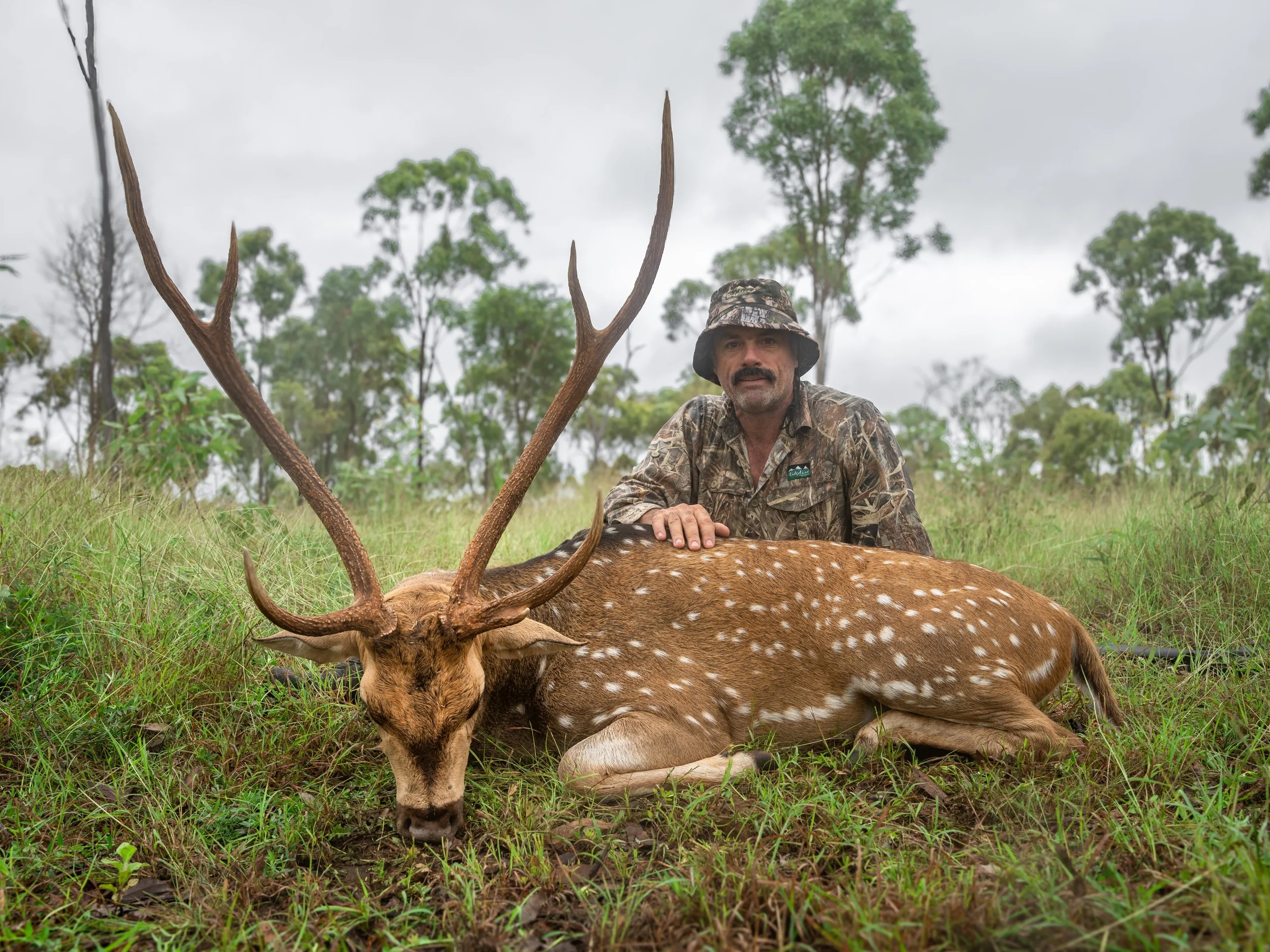 A man in camouflage clothing and a camouflage hat kneels outdoors next to a deceased deer with large antlers, in a grassy area with trees in the background.