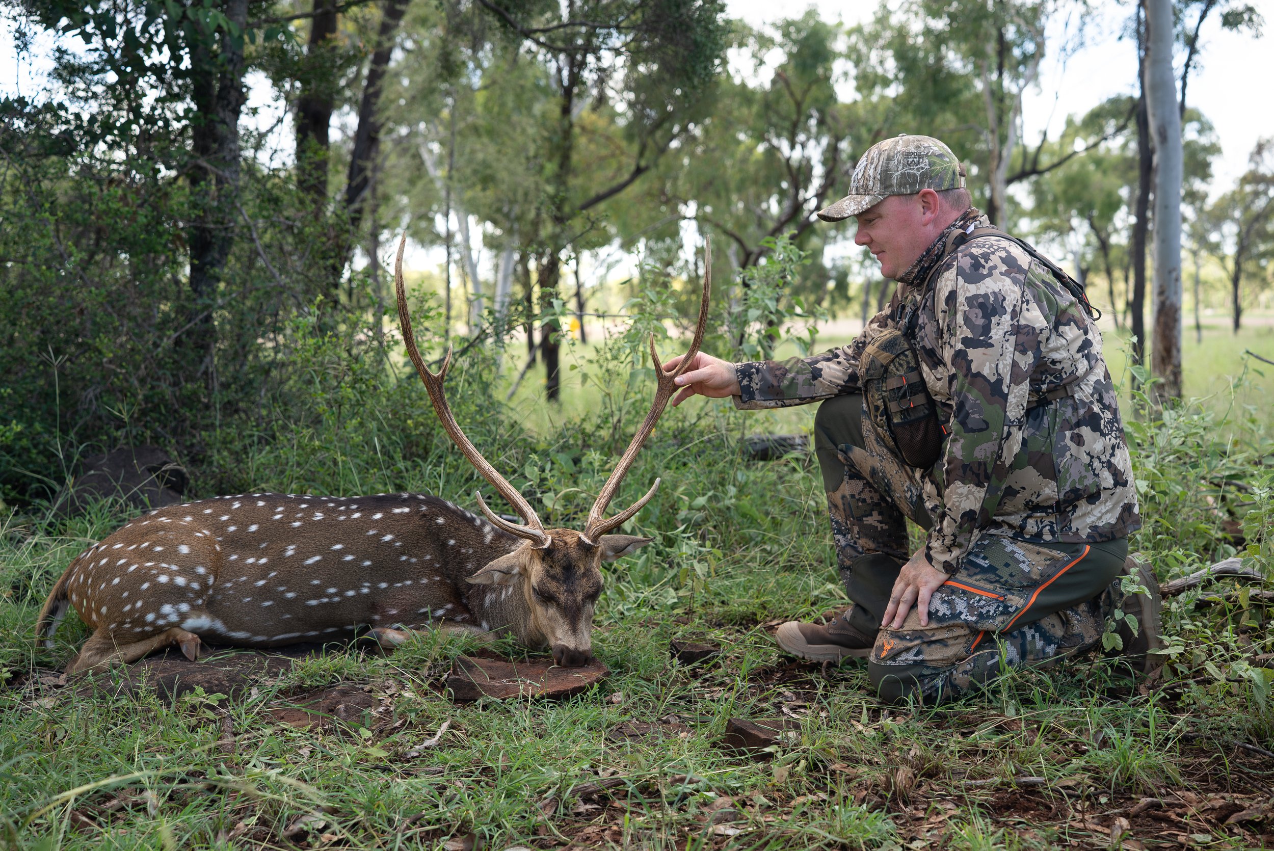 A person in camouflage clothing kneeling on the ground, holding the antlers of a deer with white spots and a fallen, dark Earth background in a wooded area.