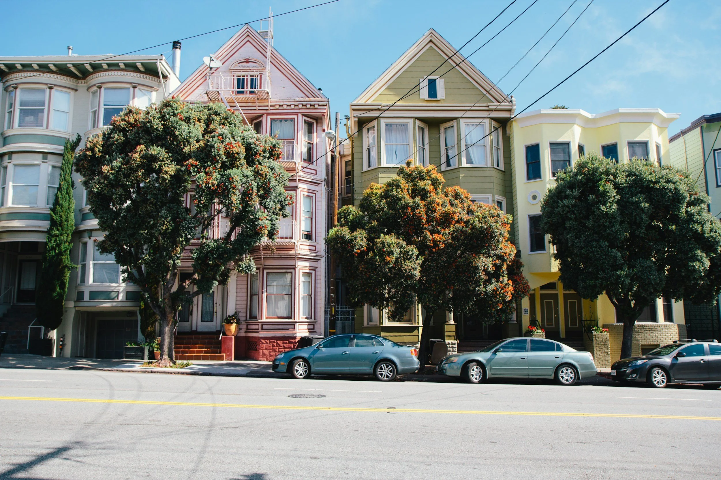 Trees In Urban Environments