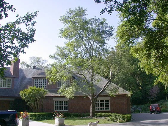 A house with brick walls and multiple windows, surrounded by trees and a driveway with parked cars.
