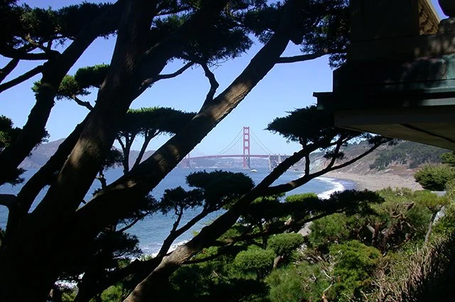 View of the Golden Gate Bridge in San Francisco, partially obscured by trees and overlooking the shoreline.