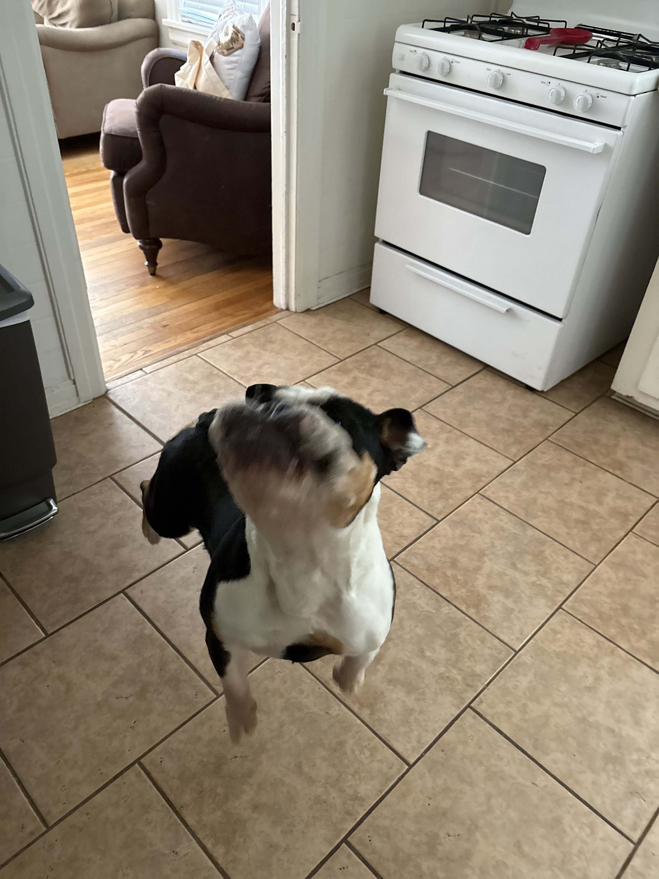 IMG_1104.jpeg