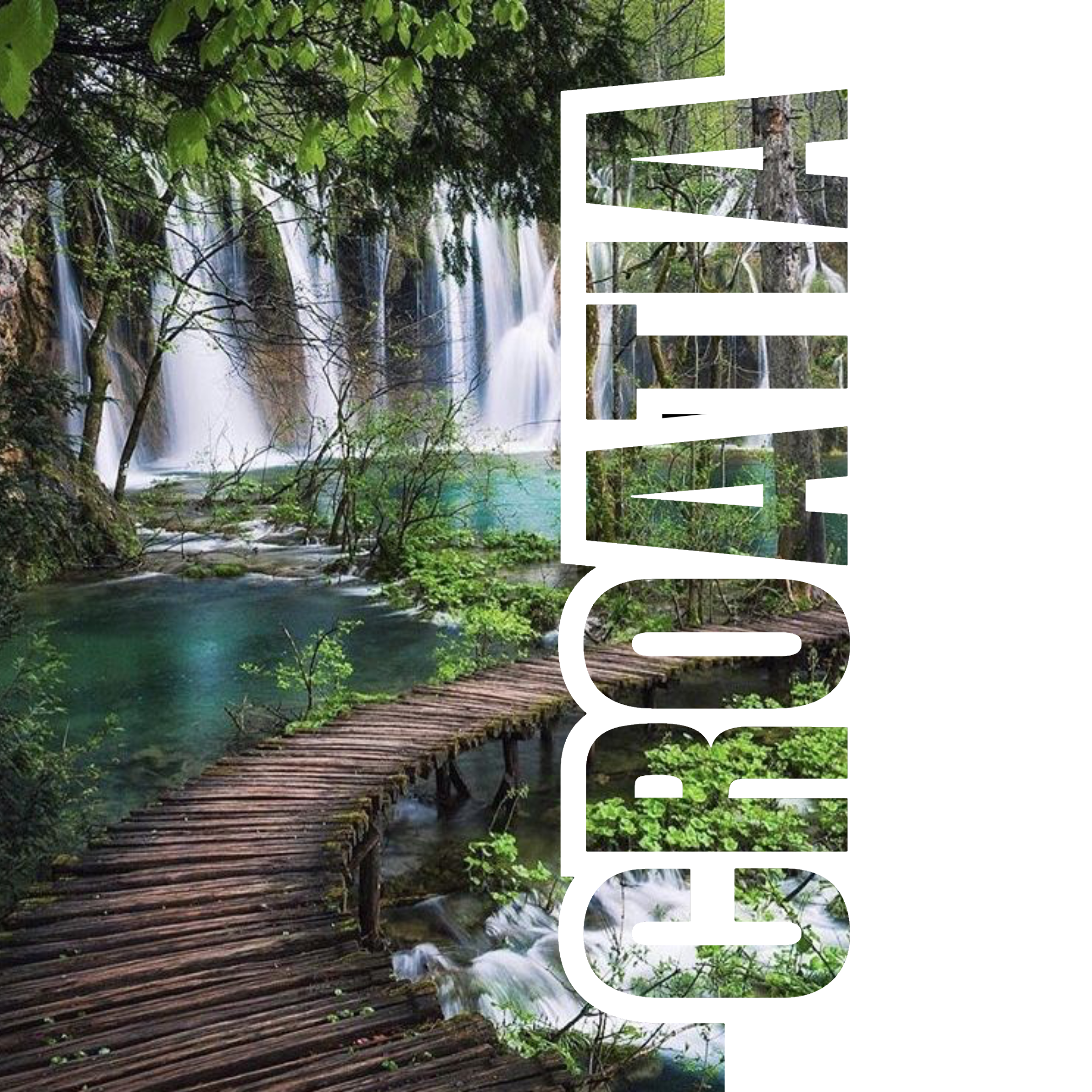 A scenic view of a waterfall cascading down rocks in a lush green forest with trees and leaves surrounding the area.