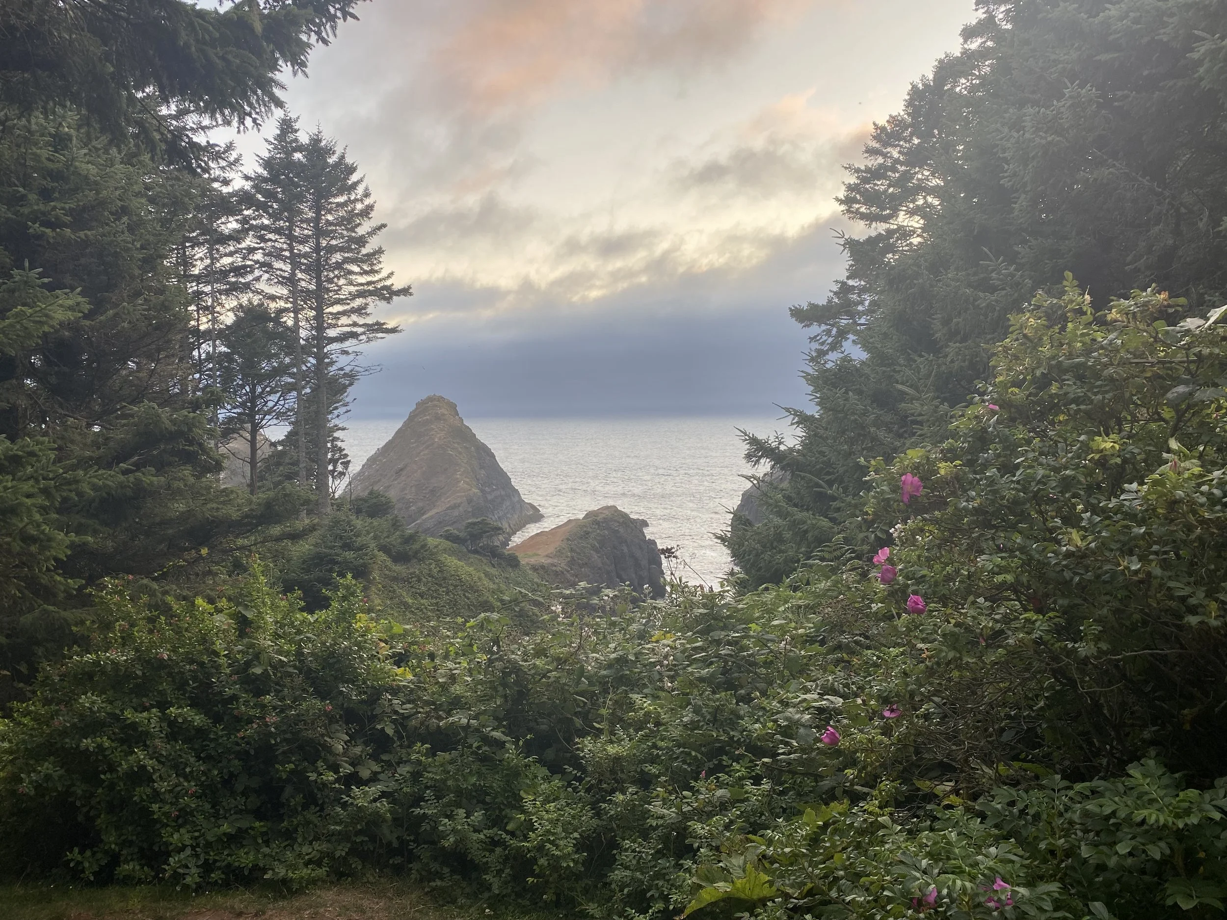 A view of a rocky coastline with green trees and pink flowers in the foreground, a large pyramid-shaped rock formation in the middle, and the ocean under a partly cloudy sky in the background.