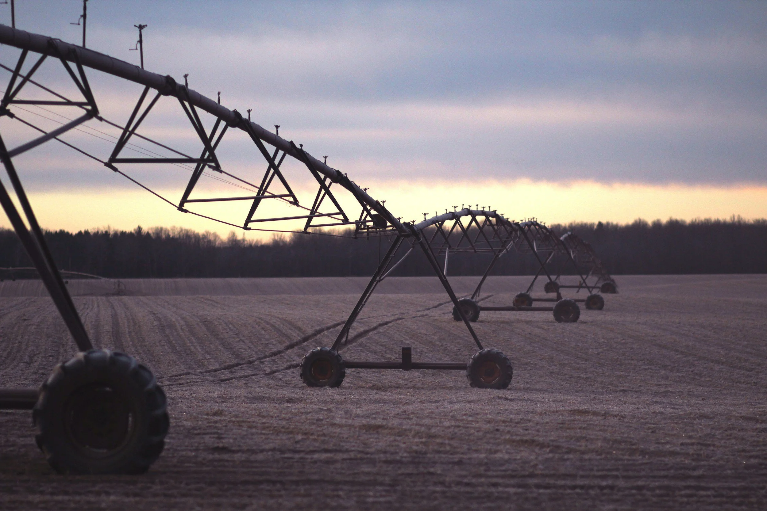 Farm irrigation sprinklers in a field during dawn or dusk with overcast sky and distant tree line.