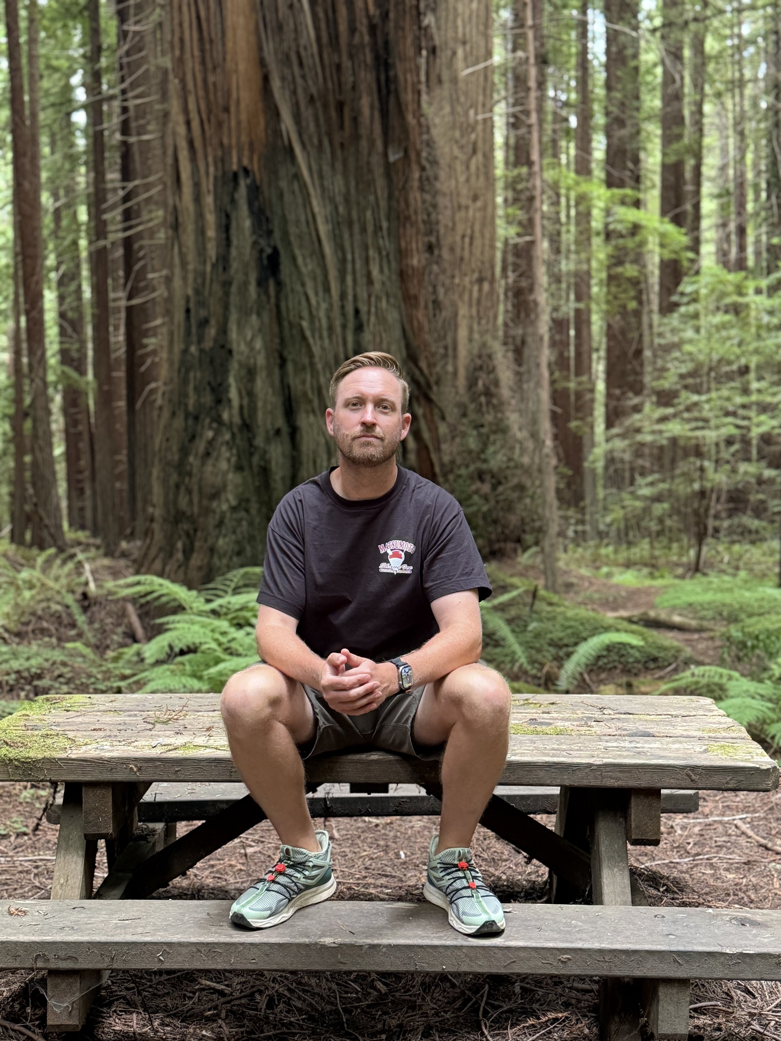 Schro sitting on a wooden bench surrounded by tower redwood trees along the Avenue of the Giants