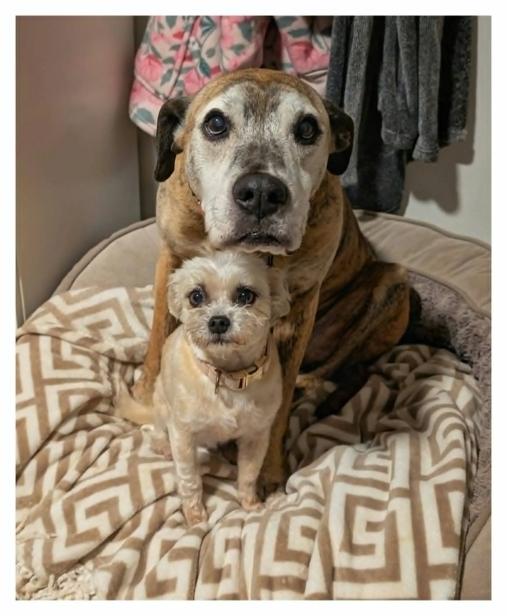 bev and rusty.jpg