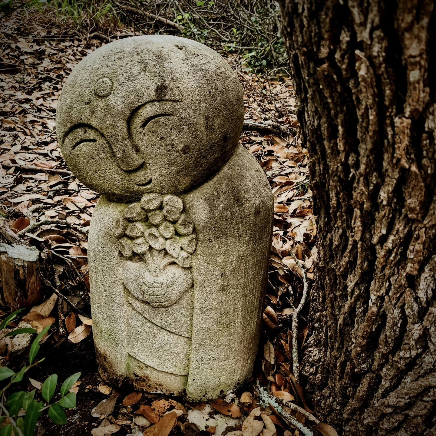 It's always fun to come across an old friend and see how they're doing.