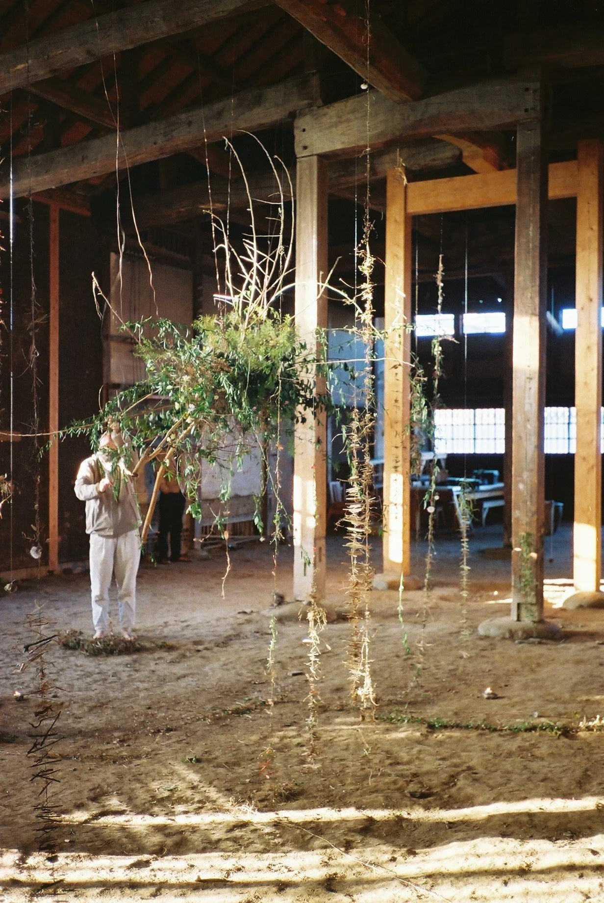 installation01-37.jpeg