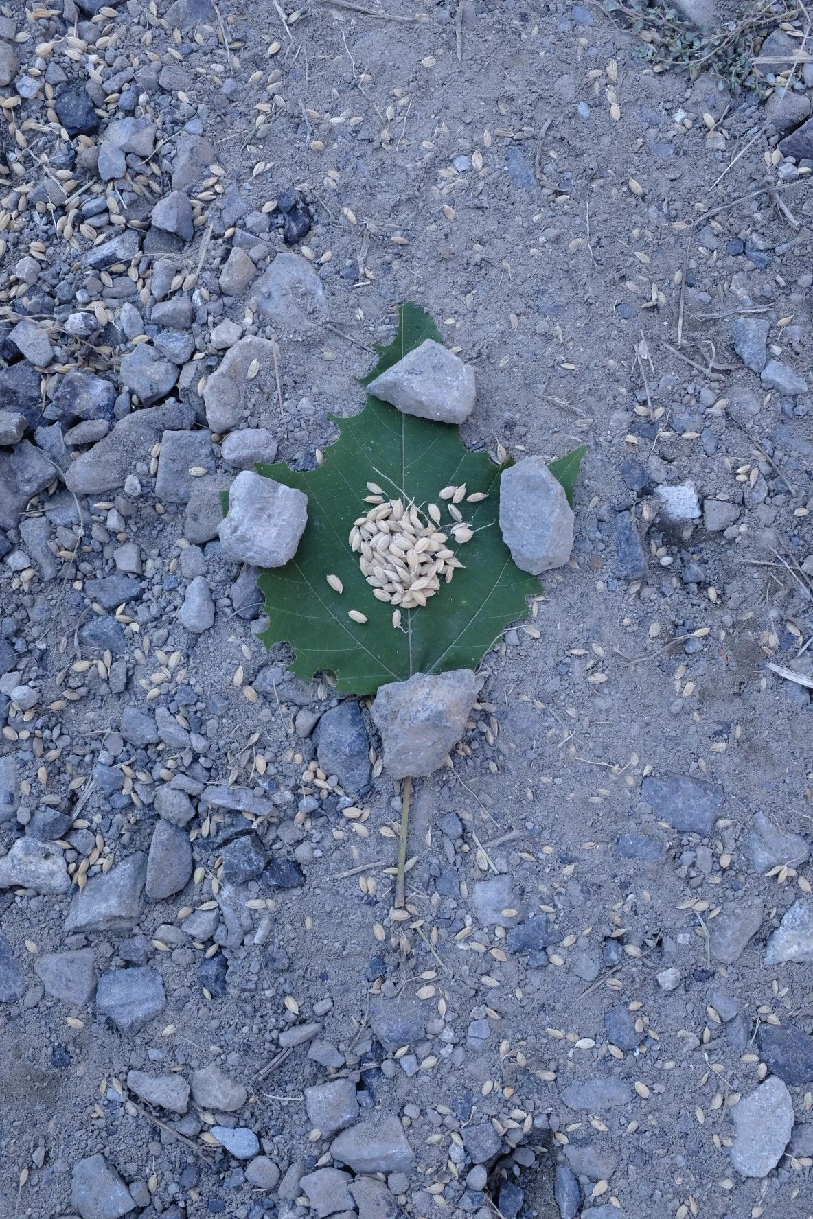 04