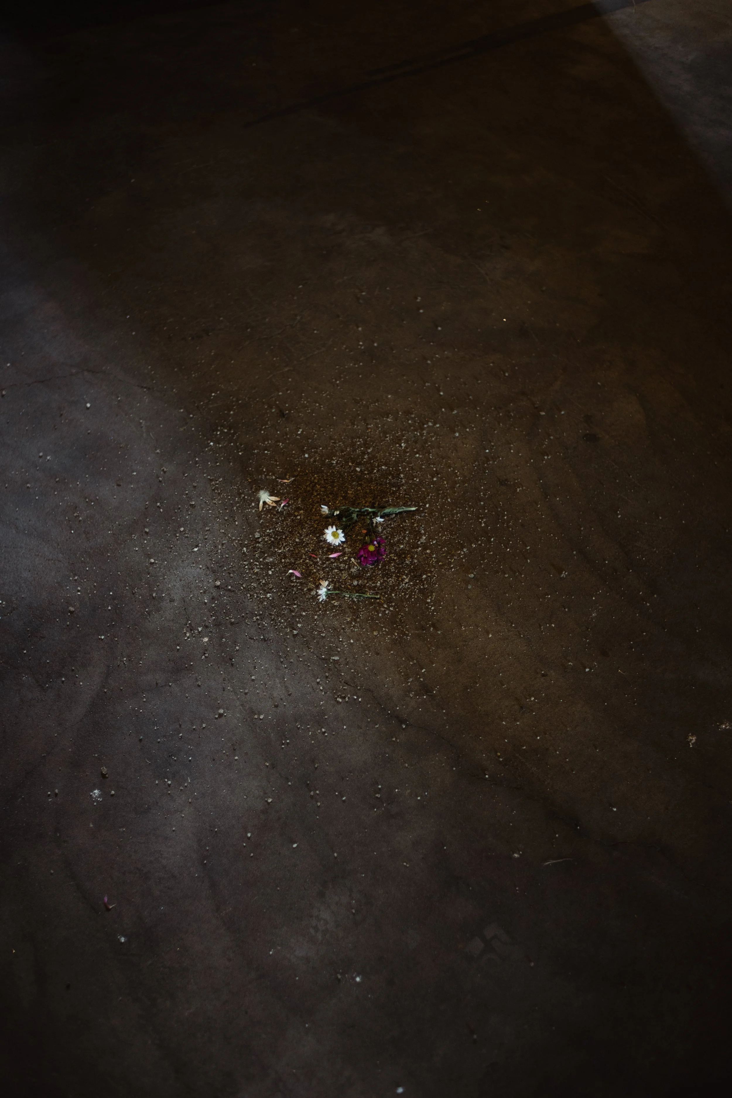 installation02-55.jpeg