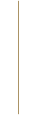 A bronze vertical line