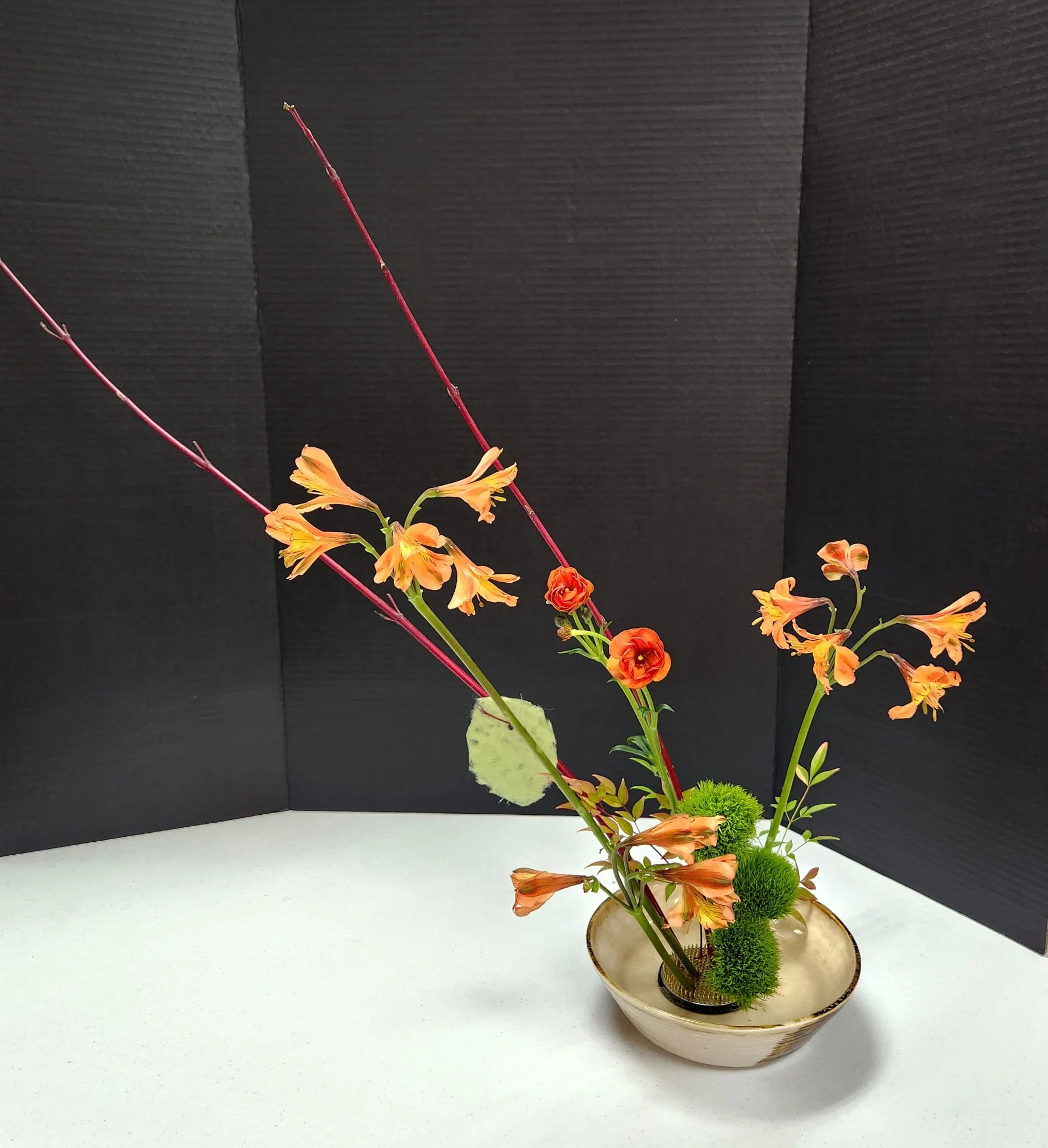IMG_20261015_071213 (14).jpg