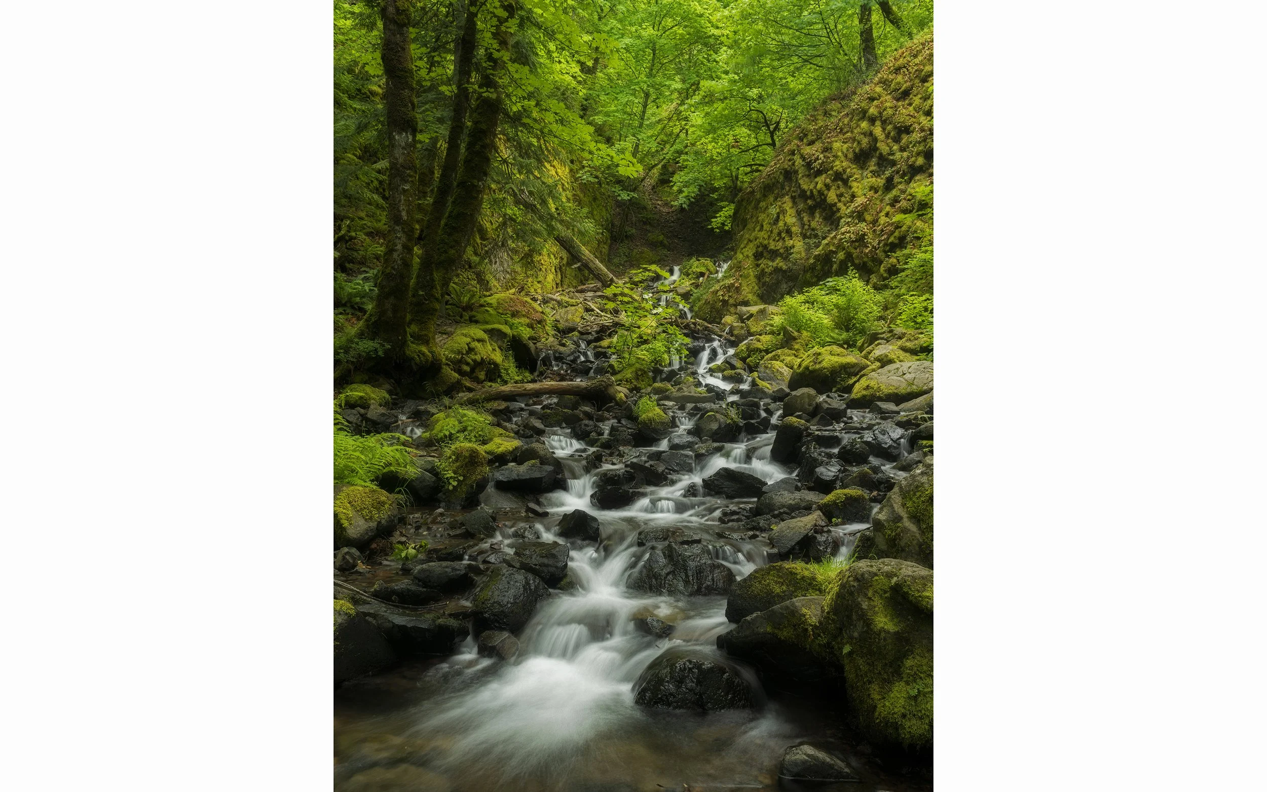 Starvation Creek Falls, June 2020, Orton.jpg