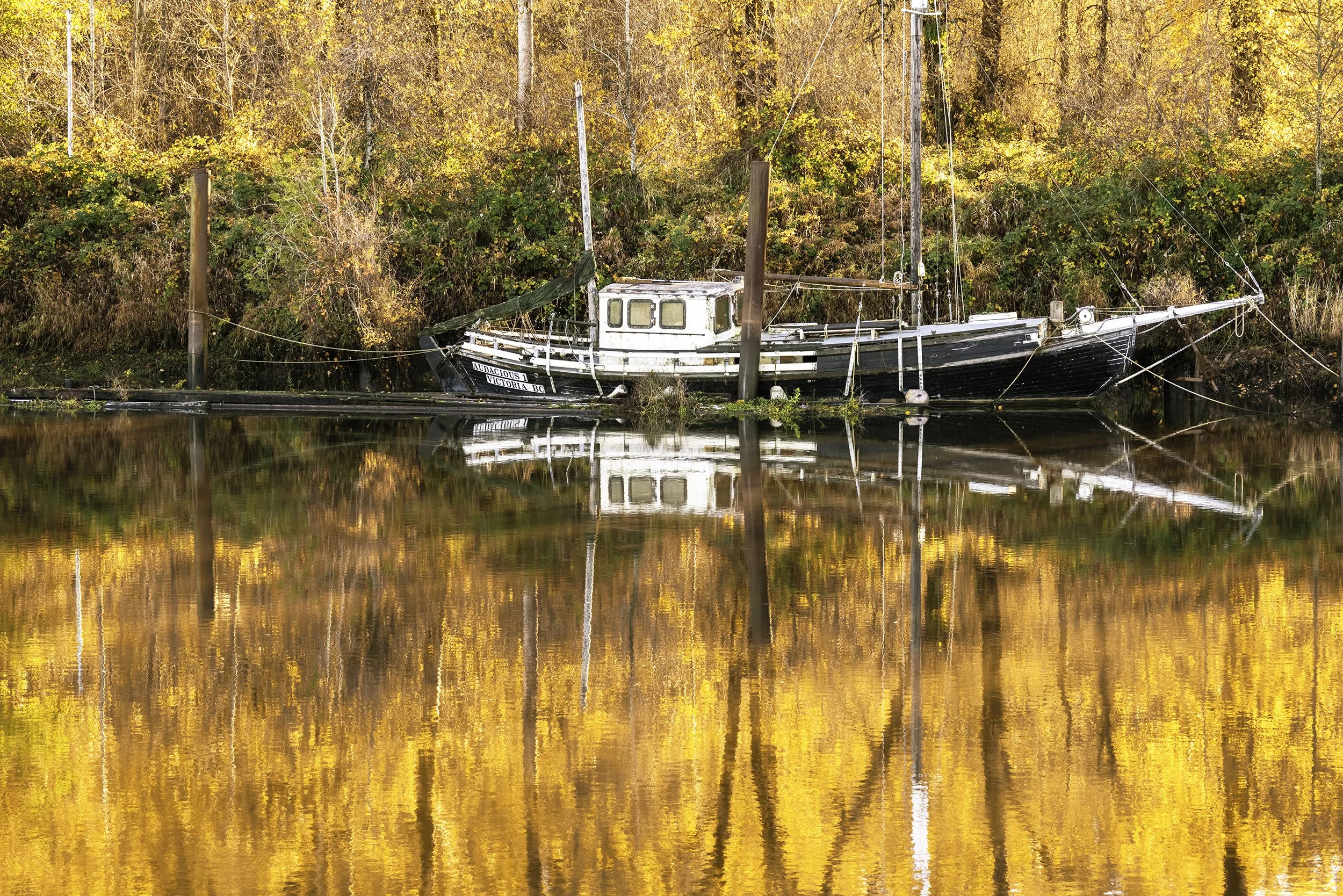 Retired in Clatskanine, Oregon.jpg