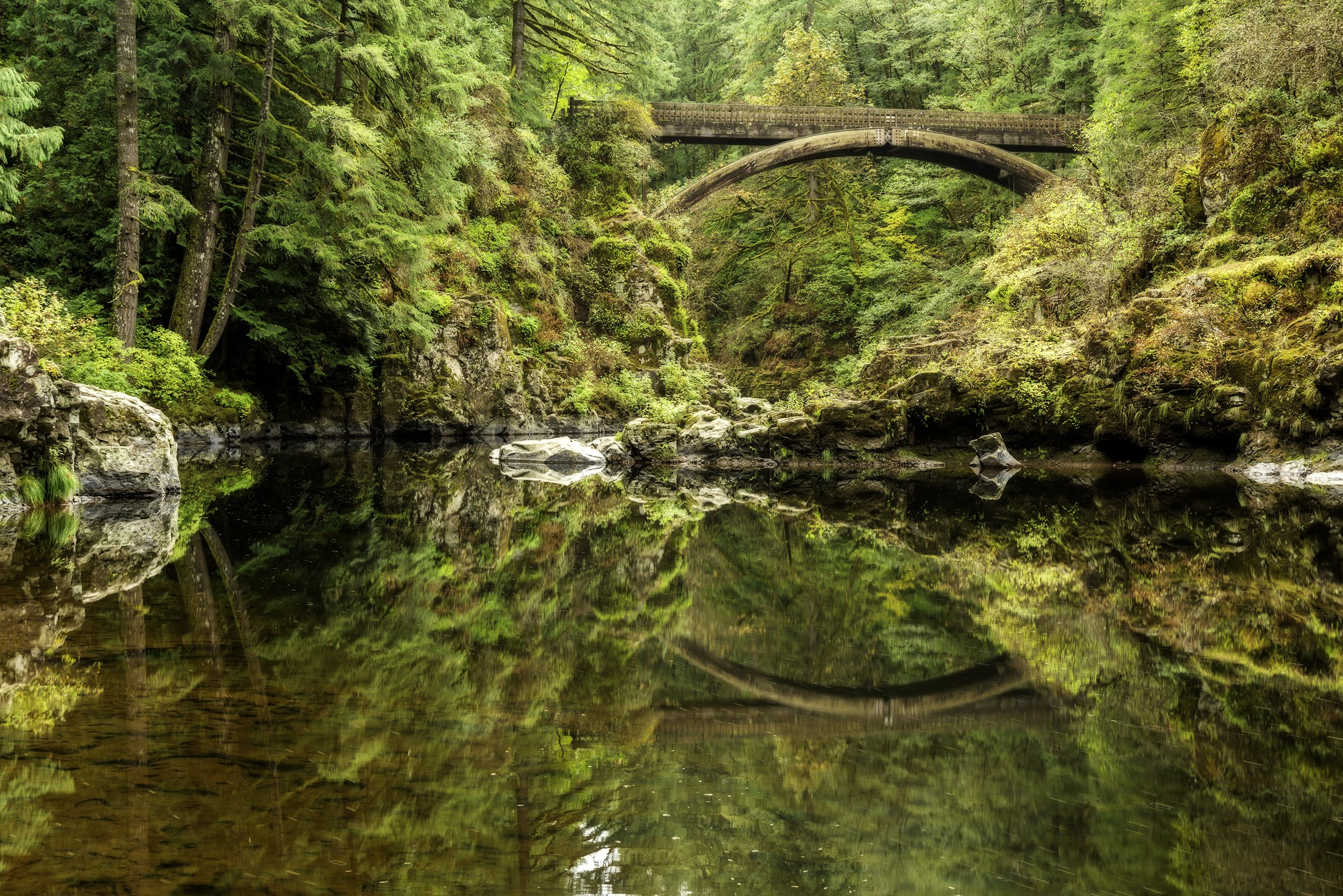 Moulton Reigonal Park Footbridge in Yacoly, Washington
