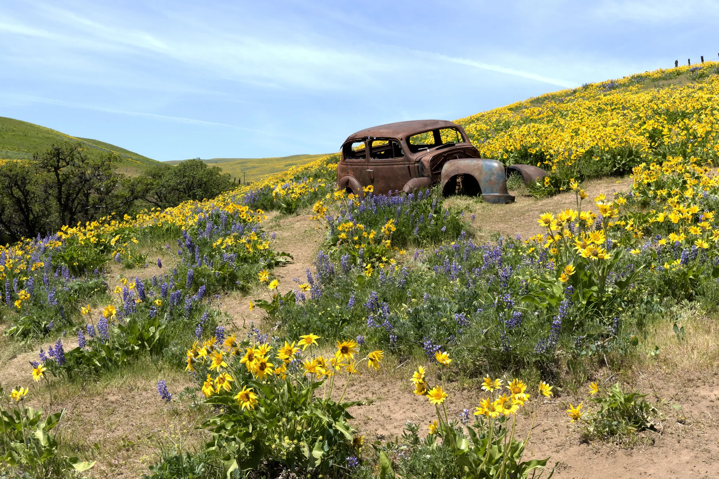 Abandoned Car at the Dalles Mounain Ranch State Park, Washington.jpg