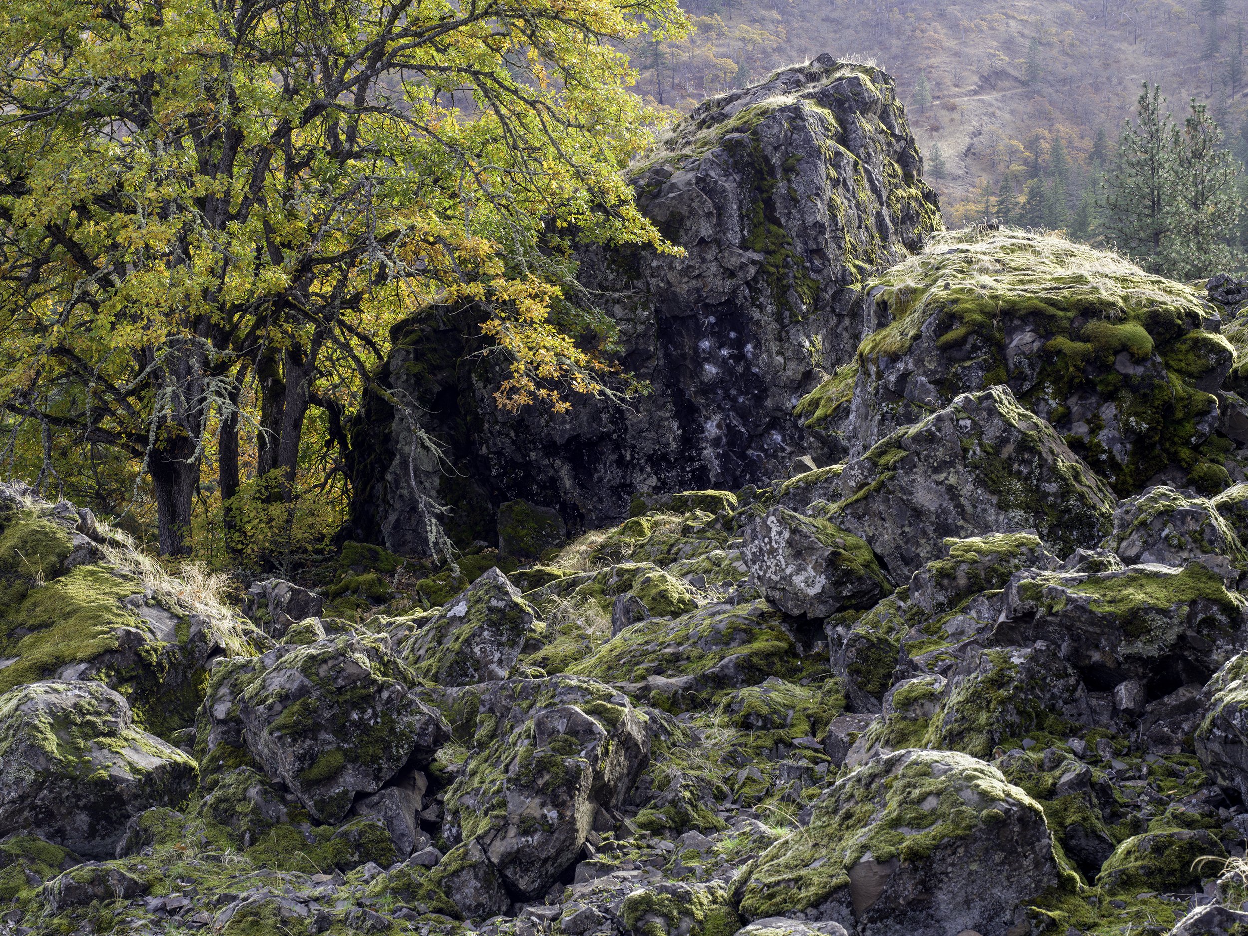 Rowena Rocks! Aluminum Print
