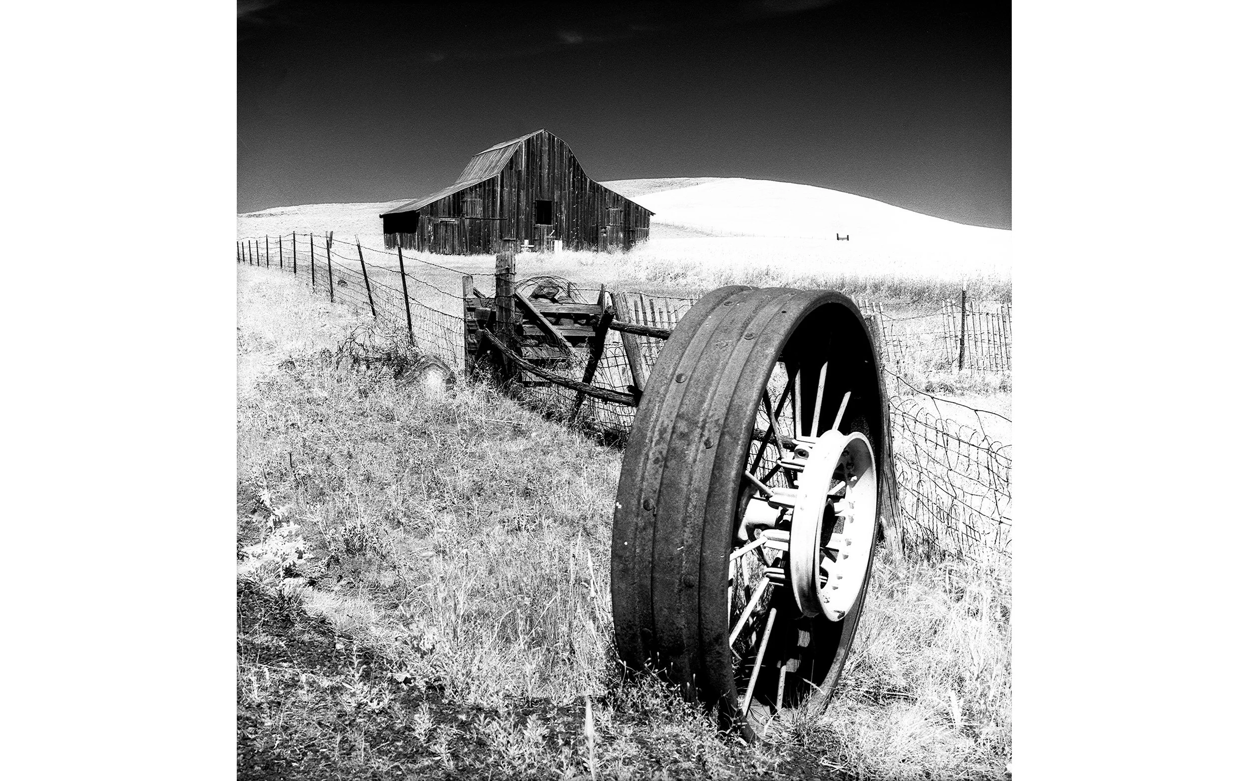 The Wheel 2018.jpg