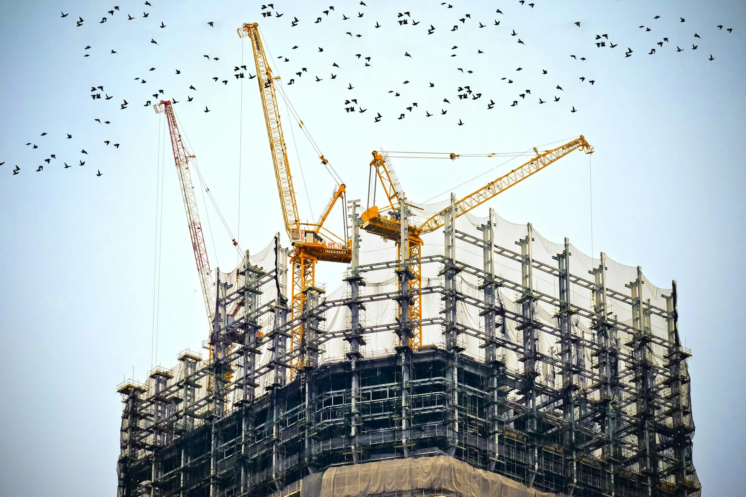 A high-rise building under construction with several yellow and red cranes on top, surrounded by scaffolding and safety barriers, with a flock of birds flying in the sky above.
